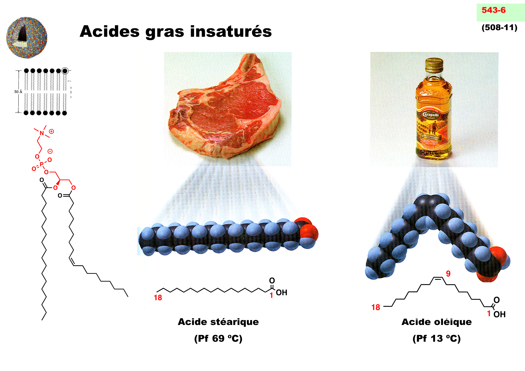chior 26 chapitres 1-3 page 64