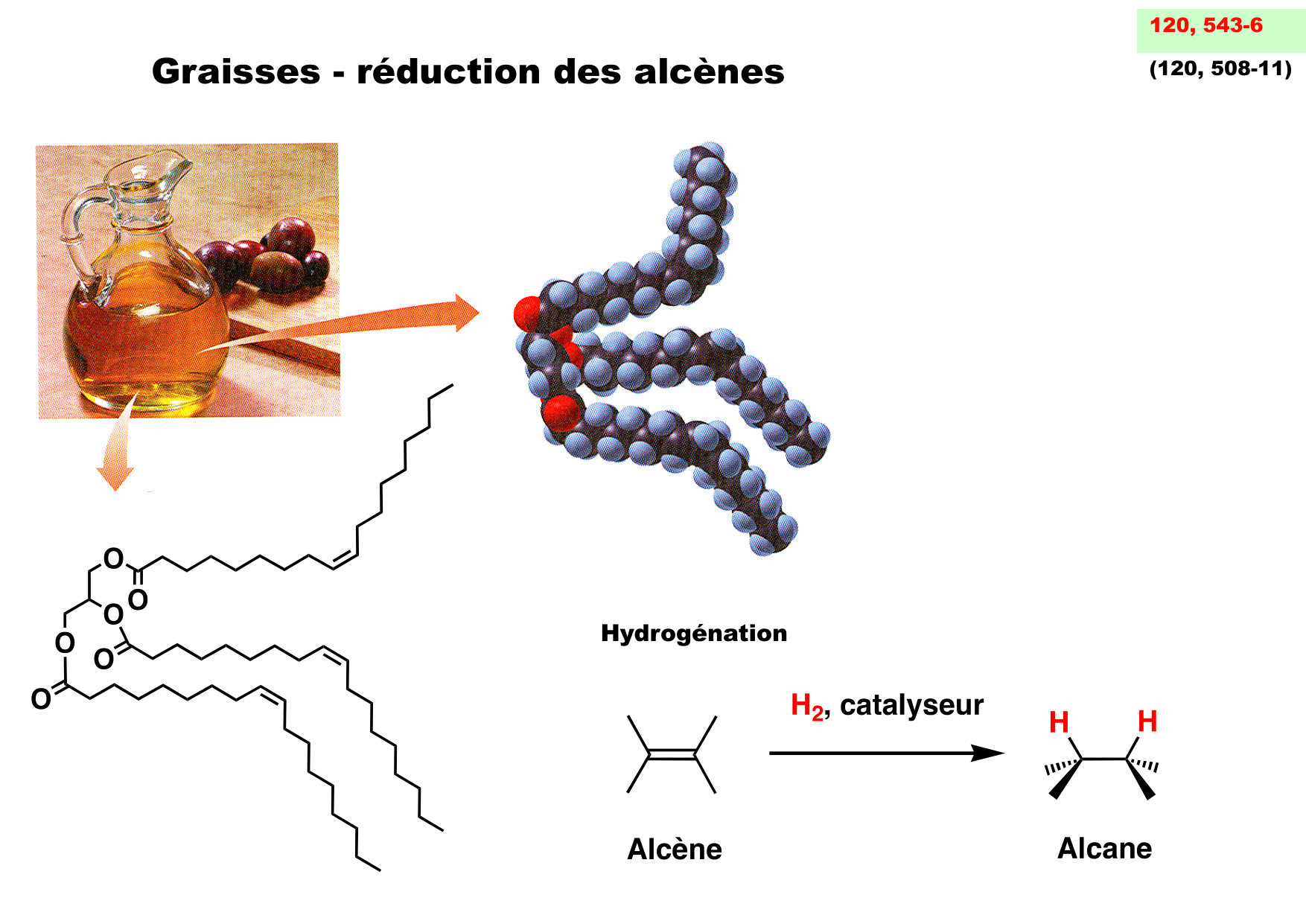chior 26 chapitres 1-3 page 65