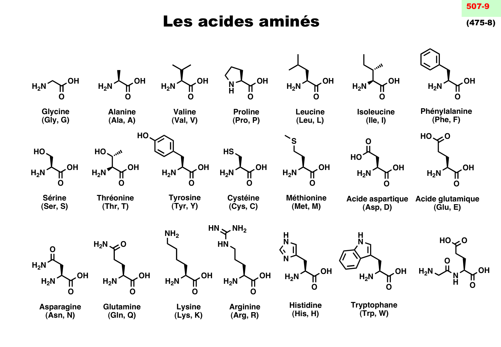 chior 26 chapitres 3-5 e-notes page 9