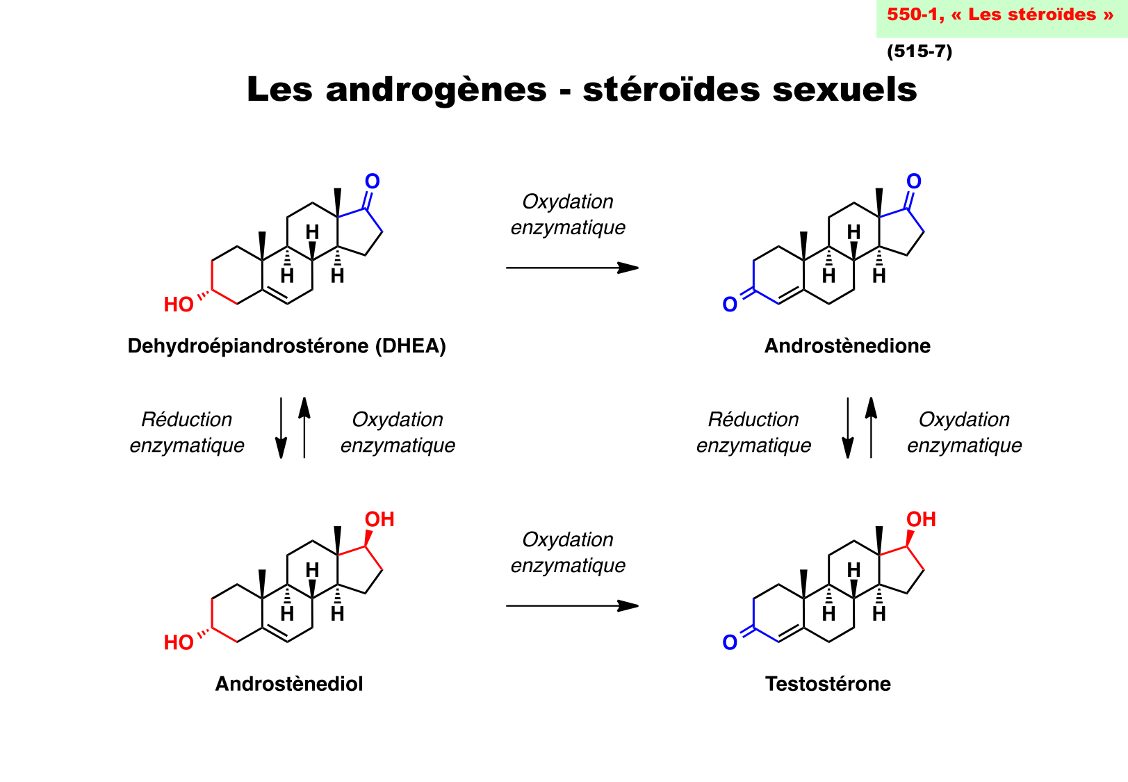 chior 26 chapitres 3-5 e-notes page 79