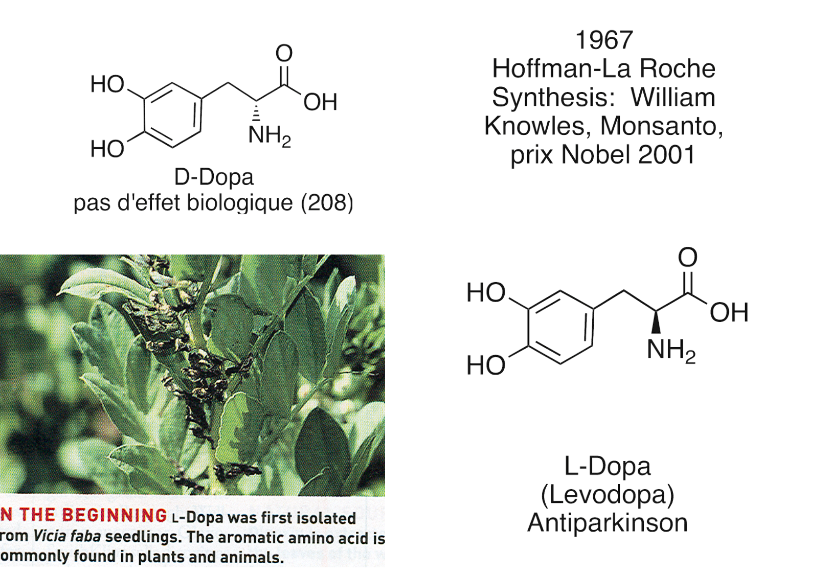 chior 26 chapitres 3-5 e-notes page 83