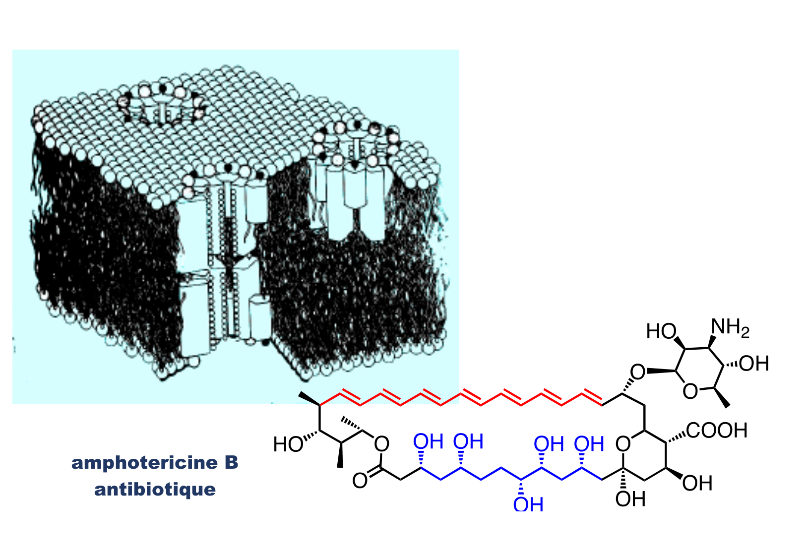 chior 26 chapitres 3-5 page 23