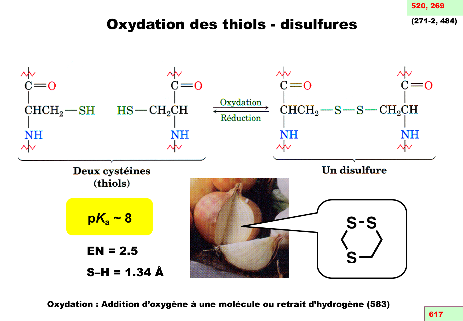 chior 26 chapitres 3-5 page 45
