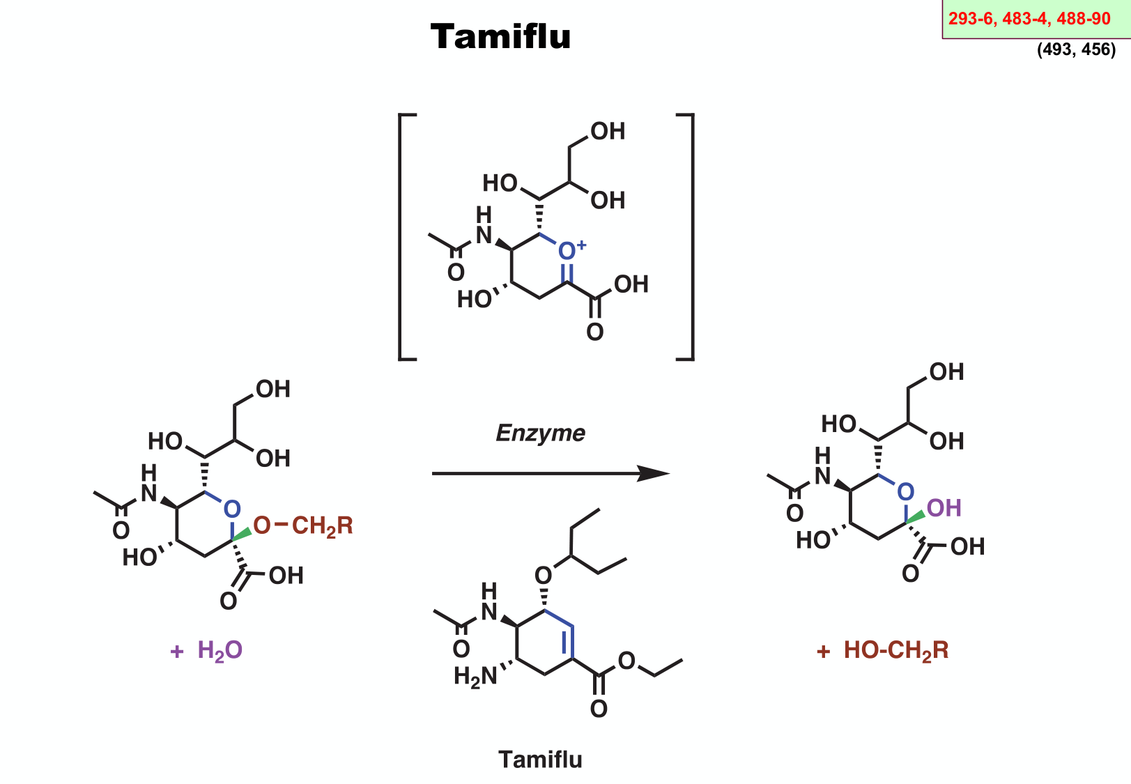 chior 26 chapitres 3-5 page 71