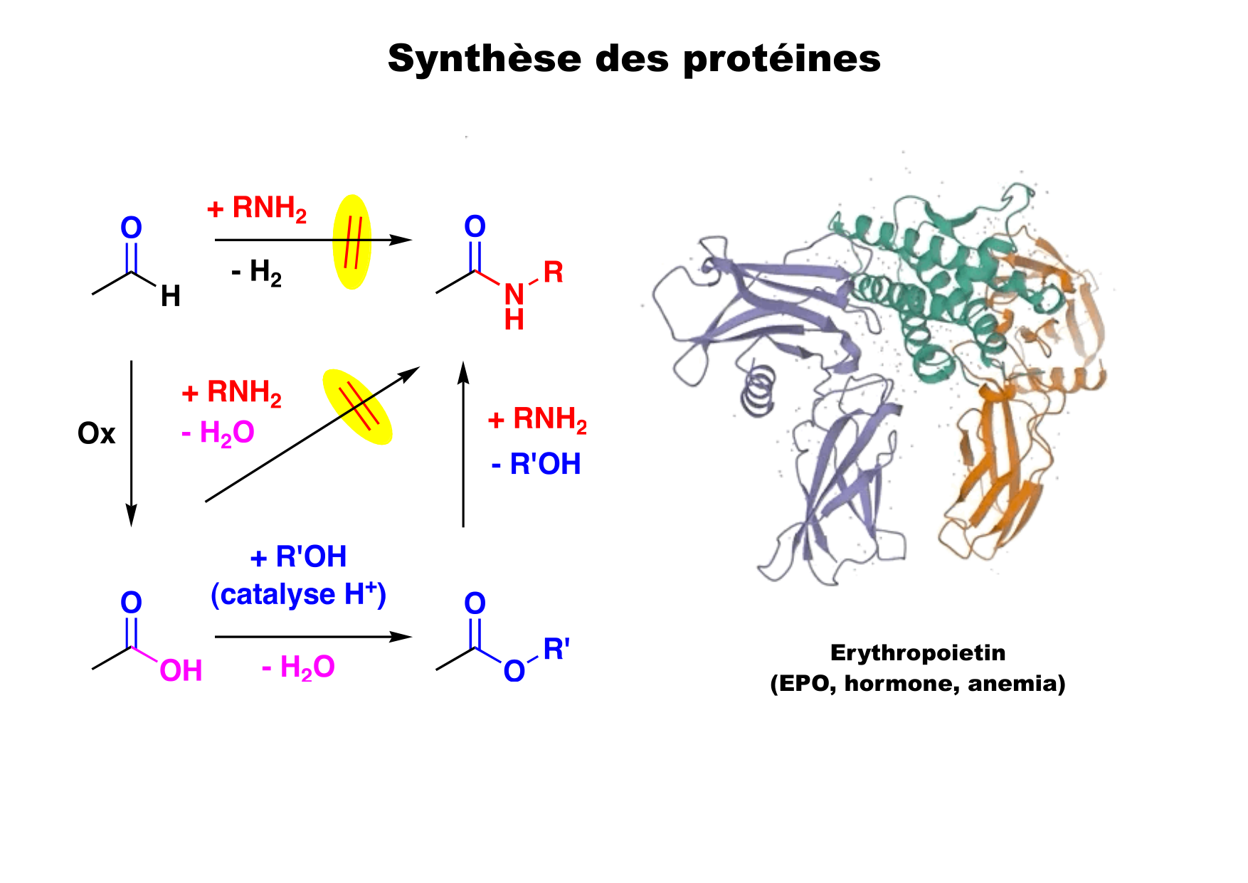 chior 26 chapitres 5-7 e-notes page 19