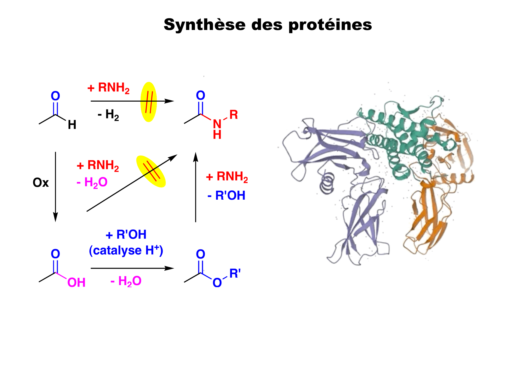 chior 26 chapitres 5-7 e-notes page 31