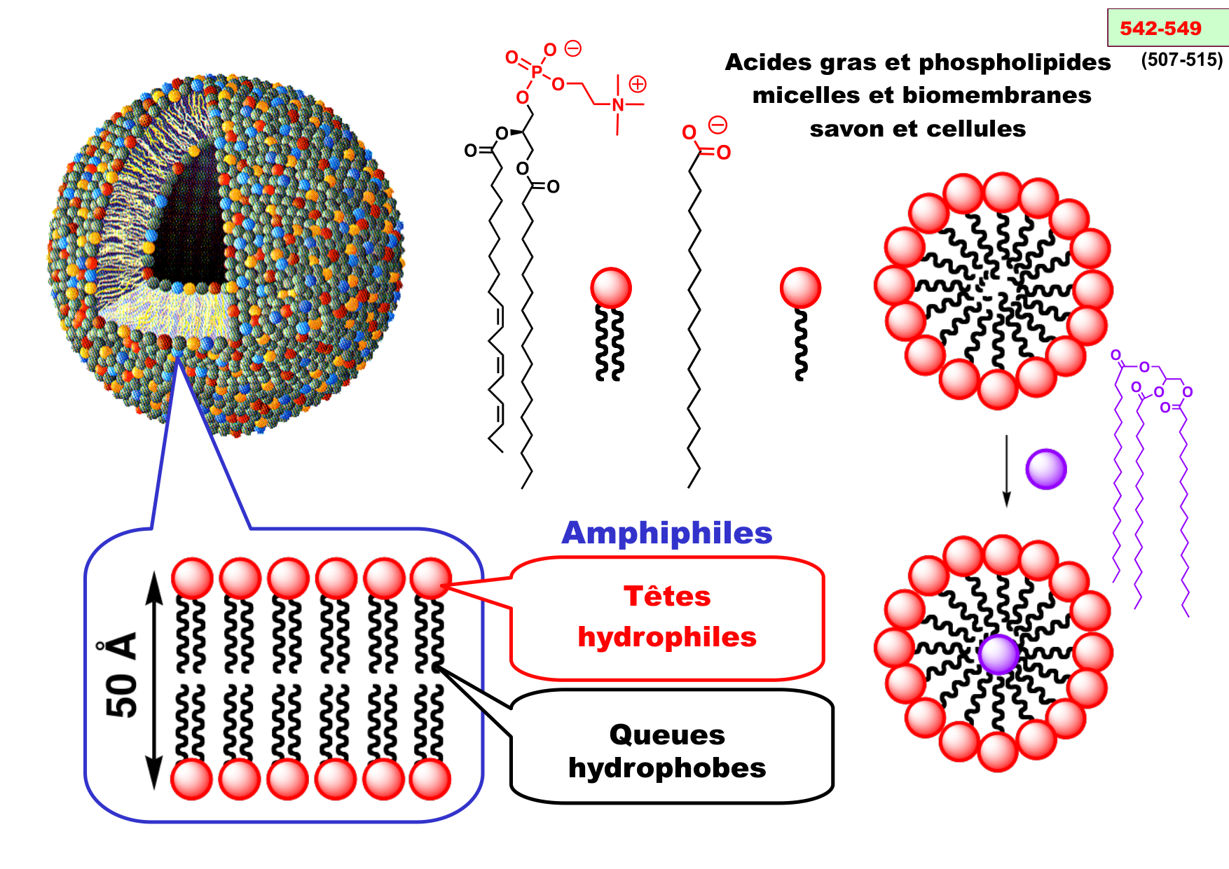 chior 26 chapitres 5-7 e-notes page 39