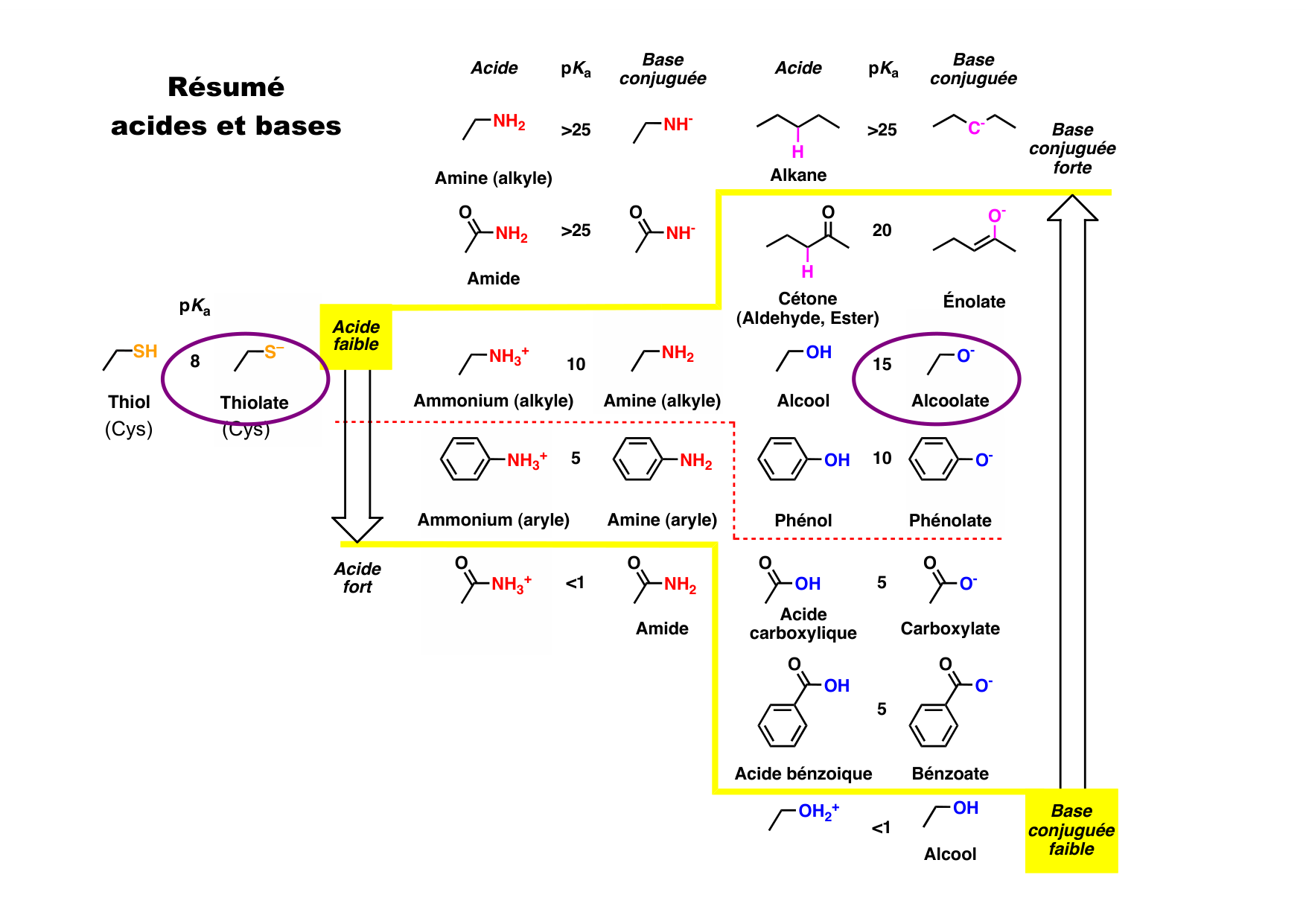 chior 26 chapitres 5-7 e-notes page 45