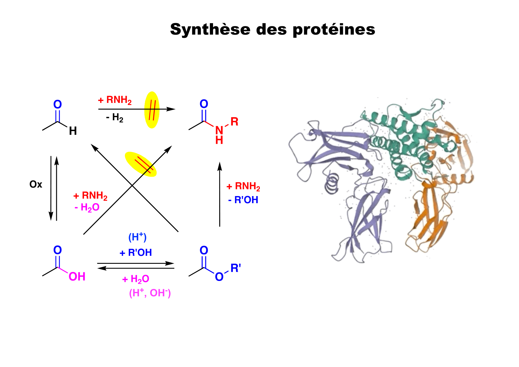chior 26 chapitres 5-7 e-notes page 49
