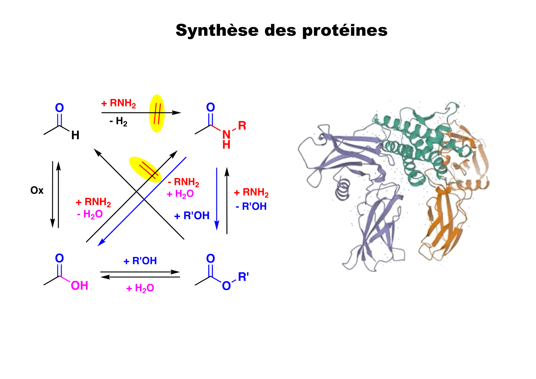 chior 26 chapitres 5-7 e-notes page 55