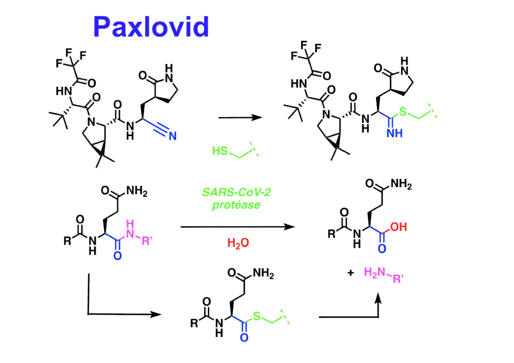 chior 26 chapitres 5-7 e-notes page 59