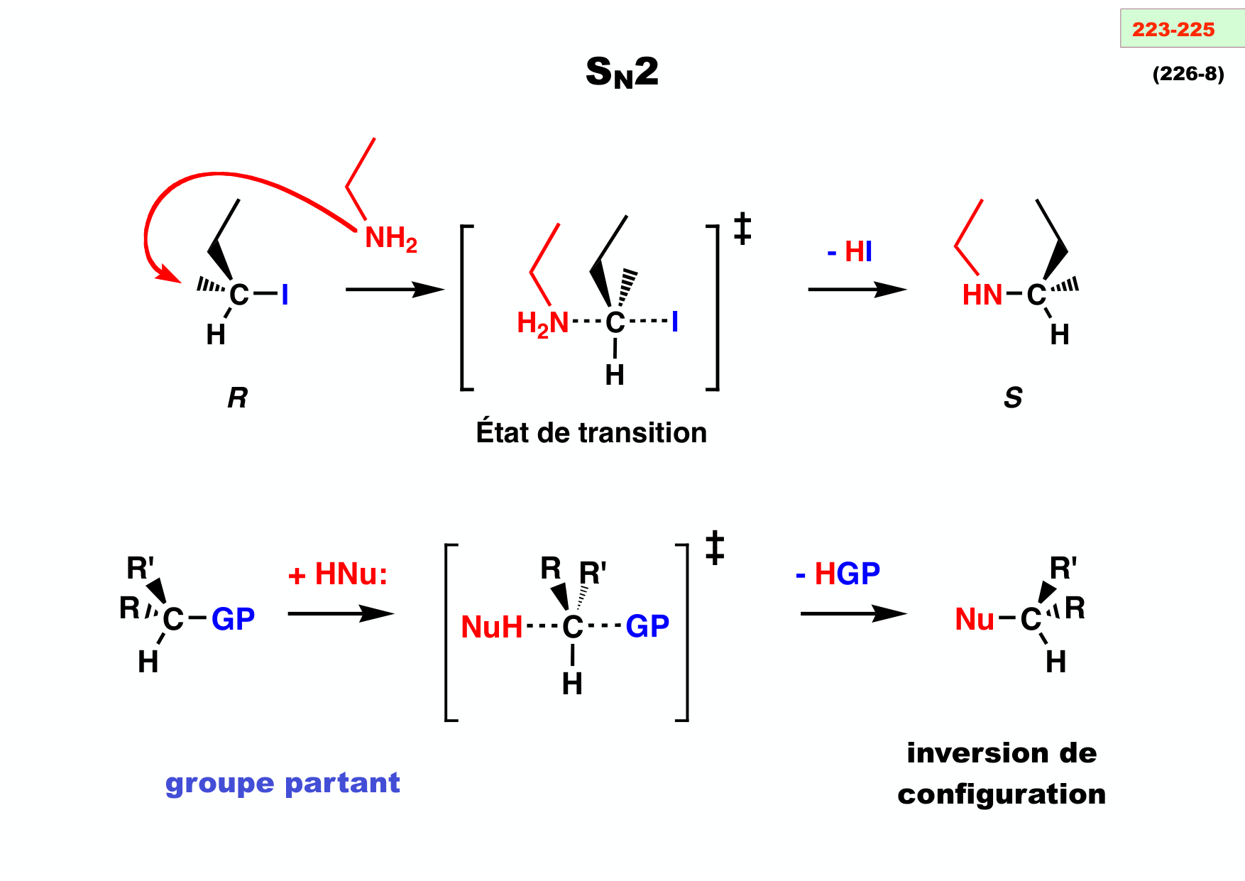 chior 26 chapitres 5-7 e-notes page 101