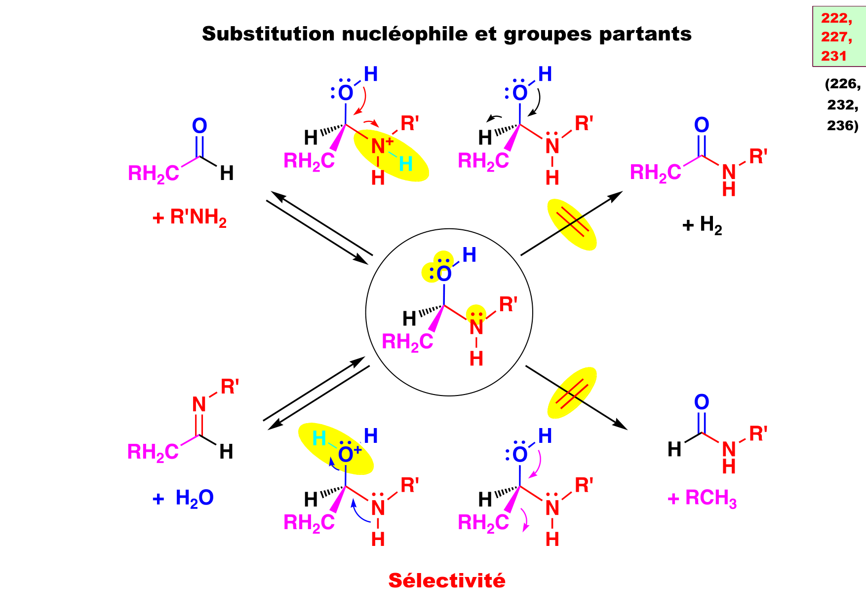 chior 26 chapitres 5-7 page 4
