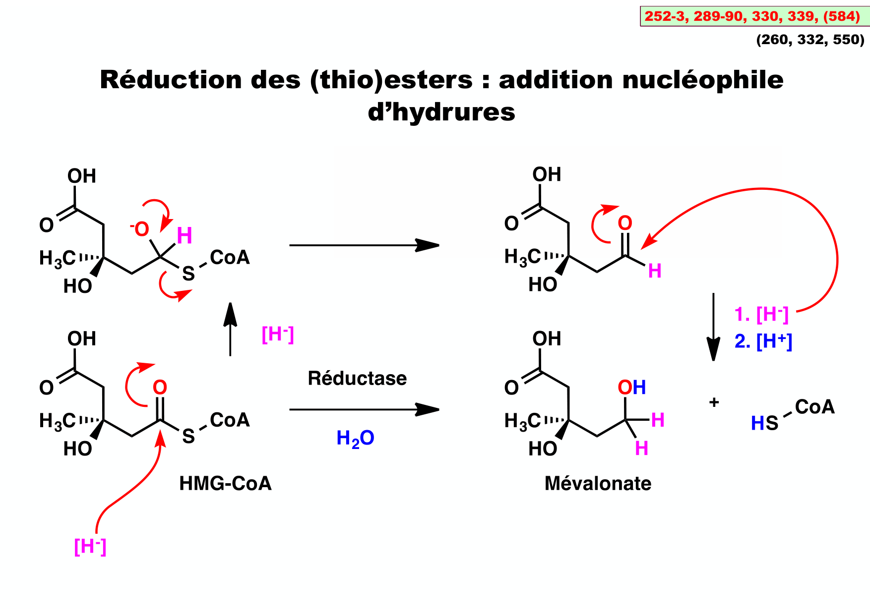 chior 26 chapitres 5-7 page 22