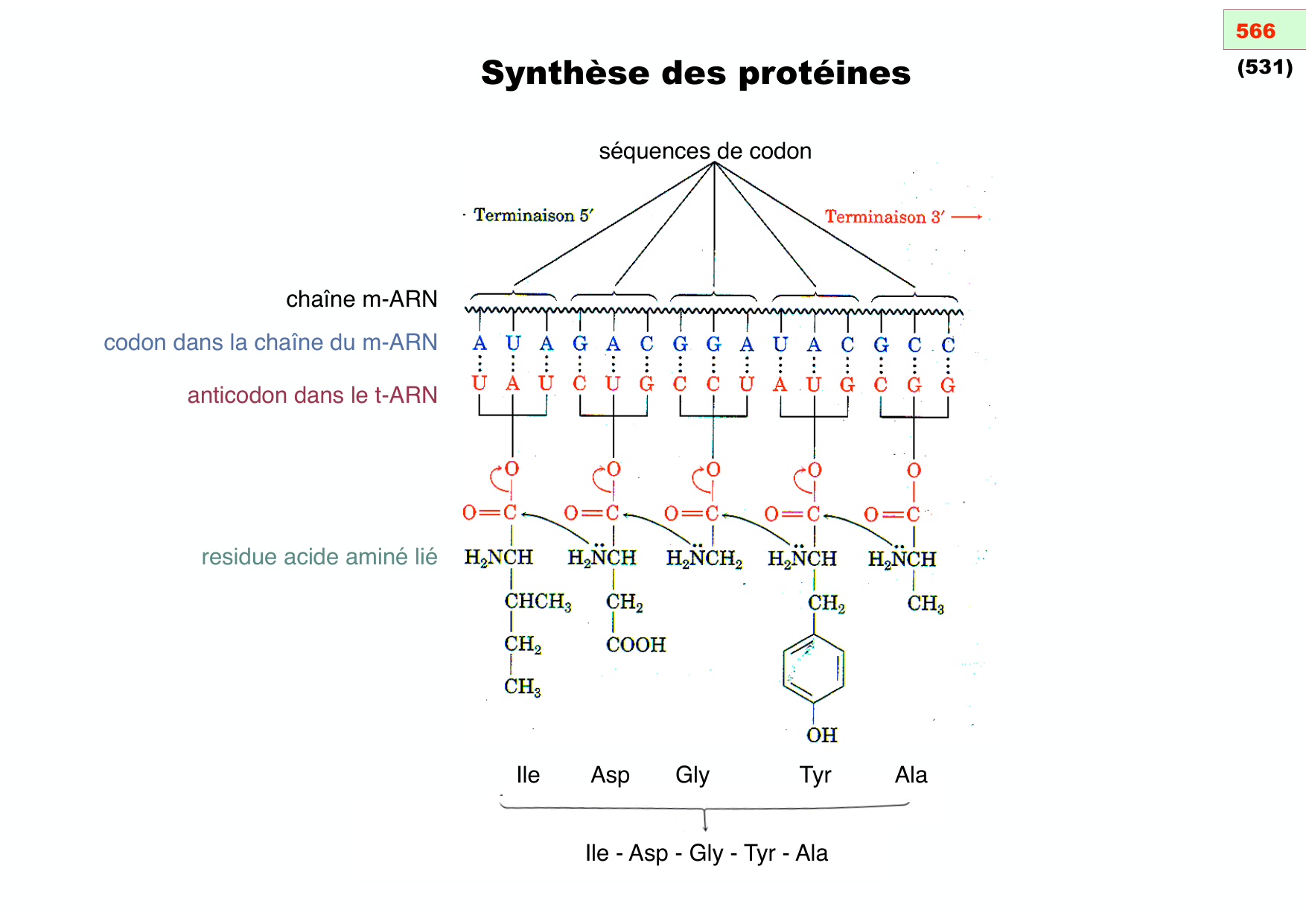 chior 26 chapitres 5-7 page 27