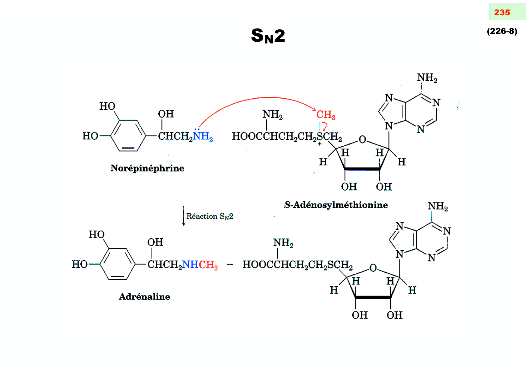 chior 26 chapitres 5-7 page 53