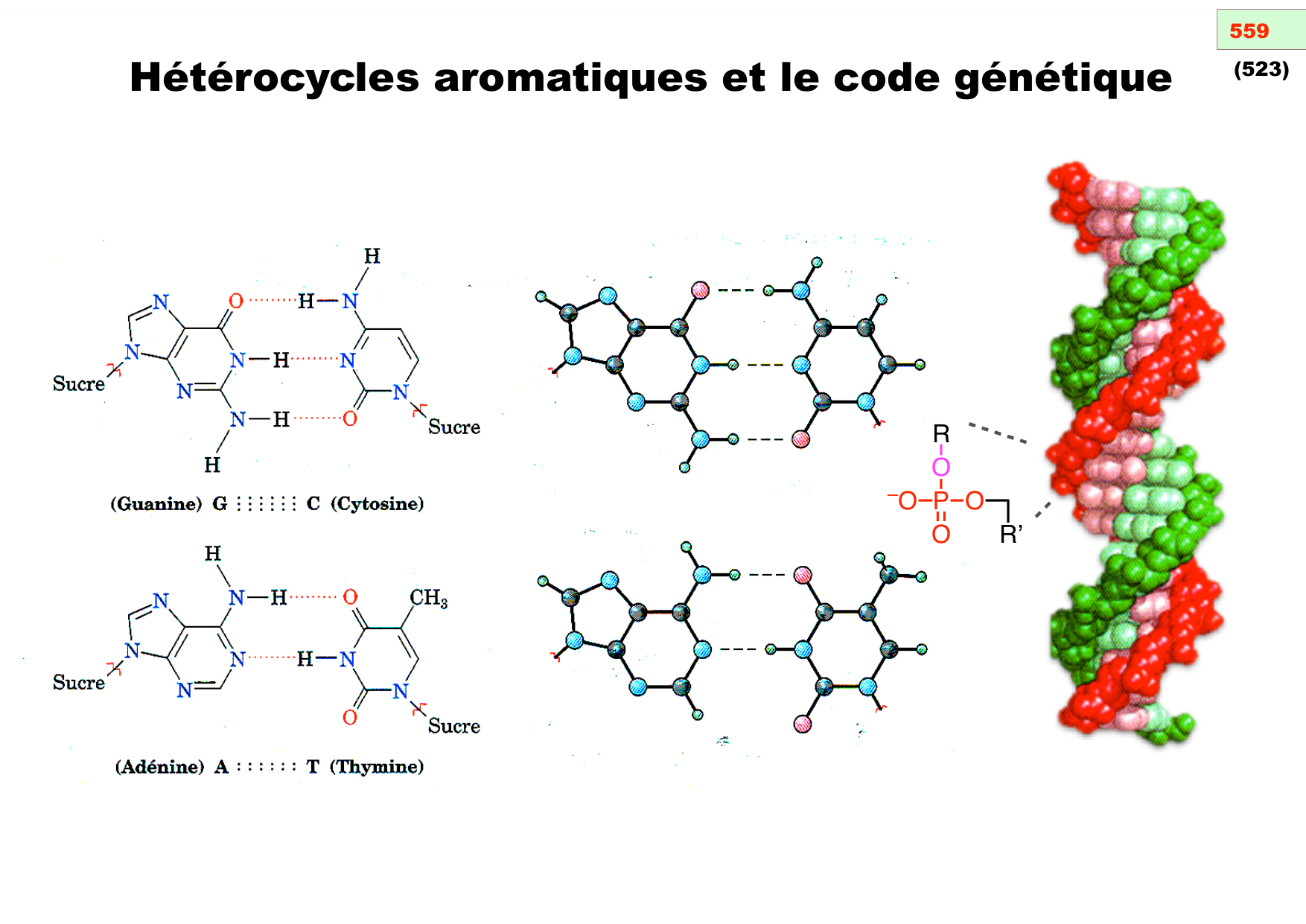 chior 26 chapitres 5-7 page 59