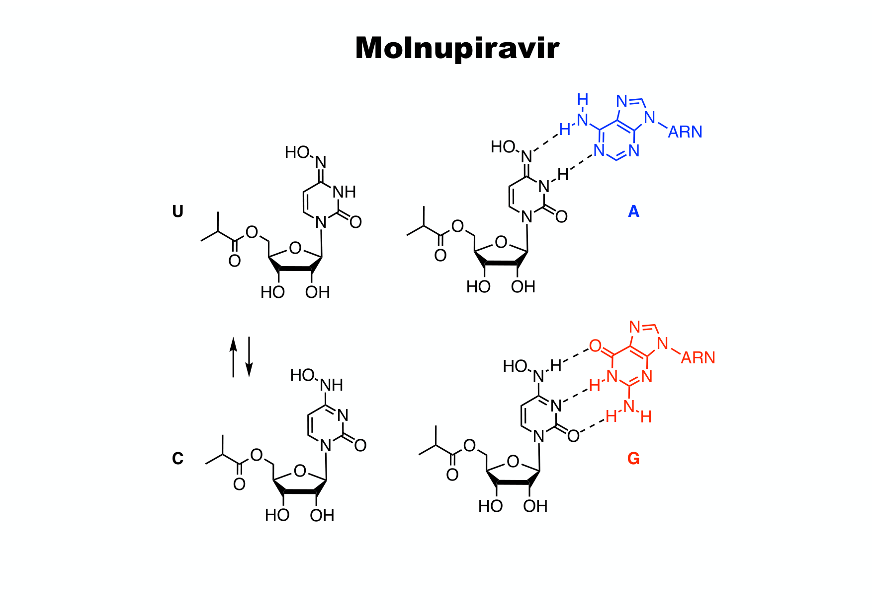 chior 26 chapitres 5-7 page 60