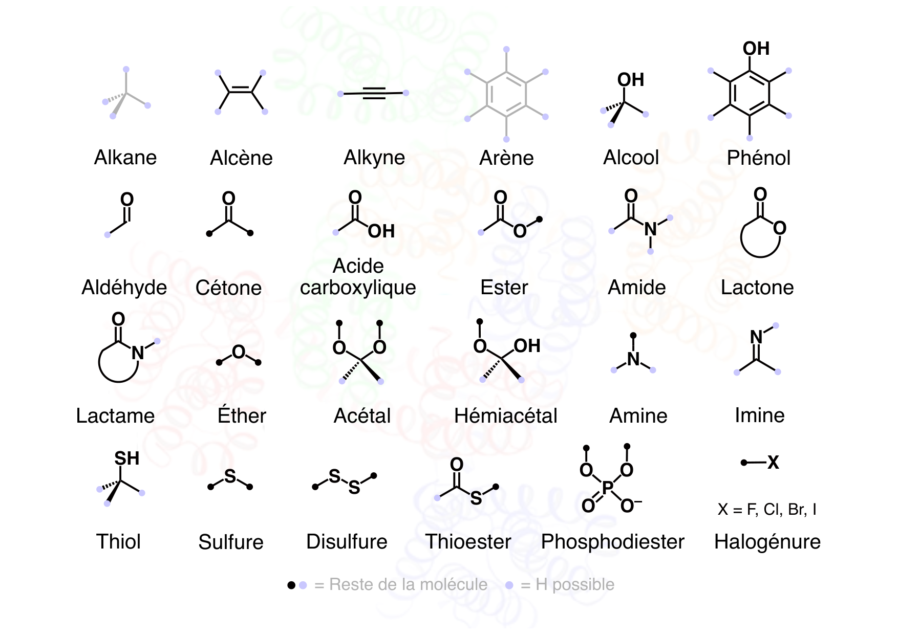 chior 26 resumes page 4