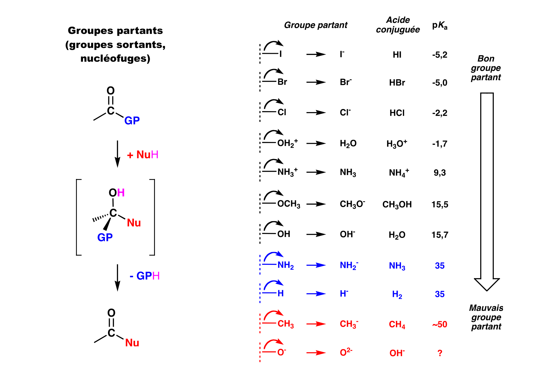 chior 26 resumes page 7