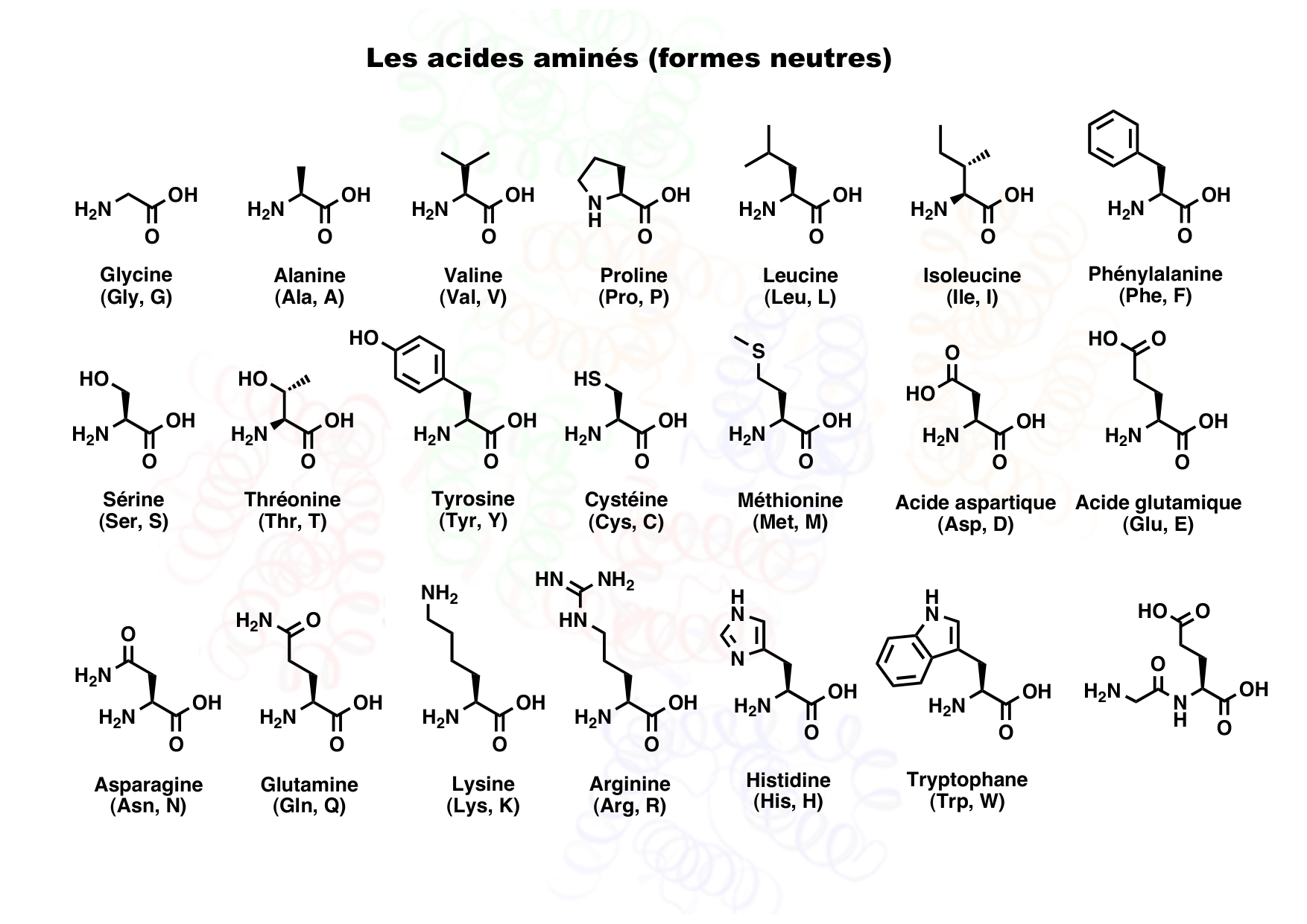 chior 26 resumes page 8