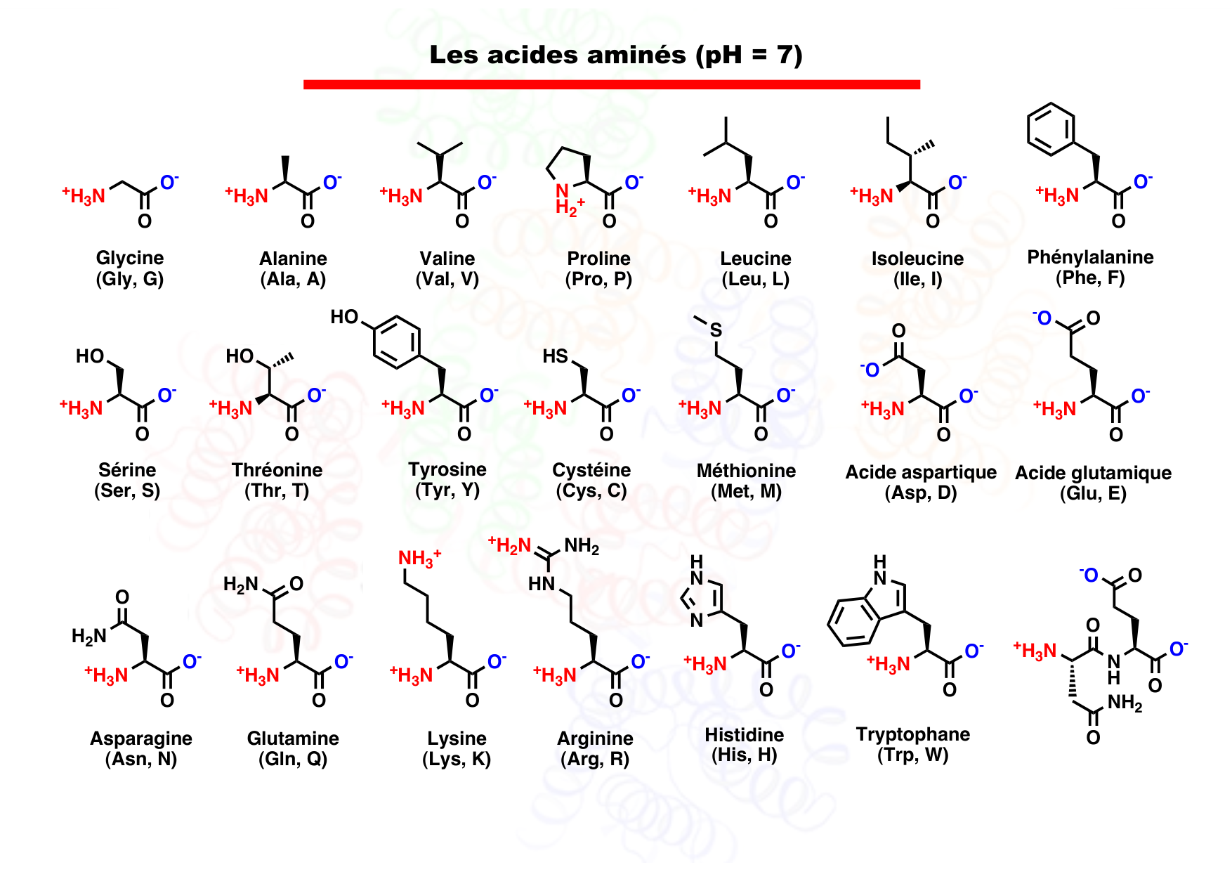 chior 26 resumes page 9