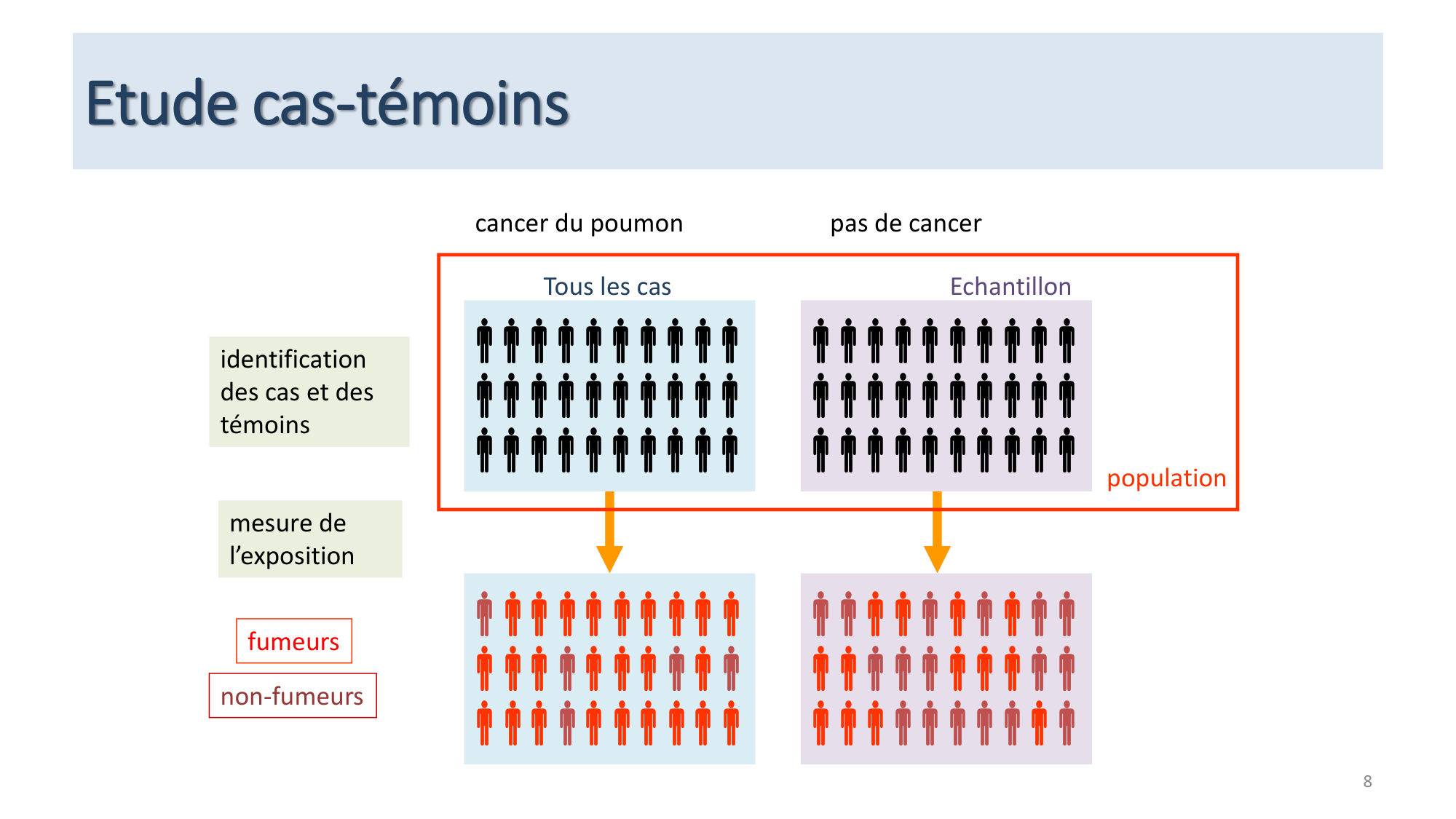 Statistiques pour médecins 12 cas témoins page 8