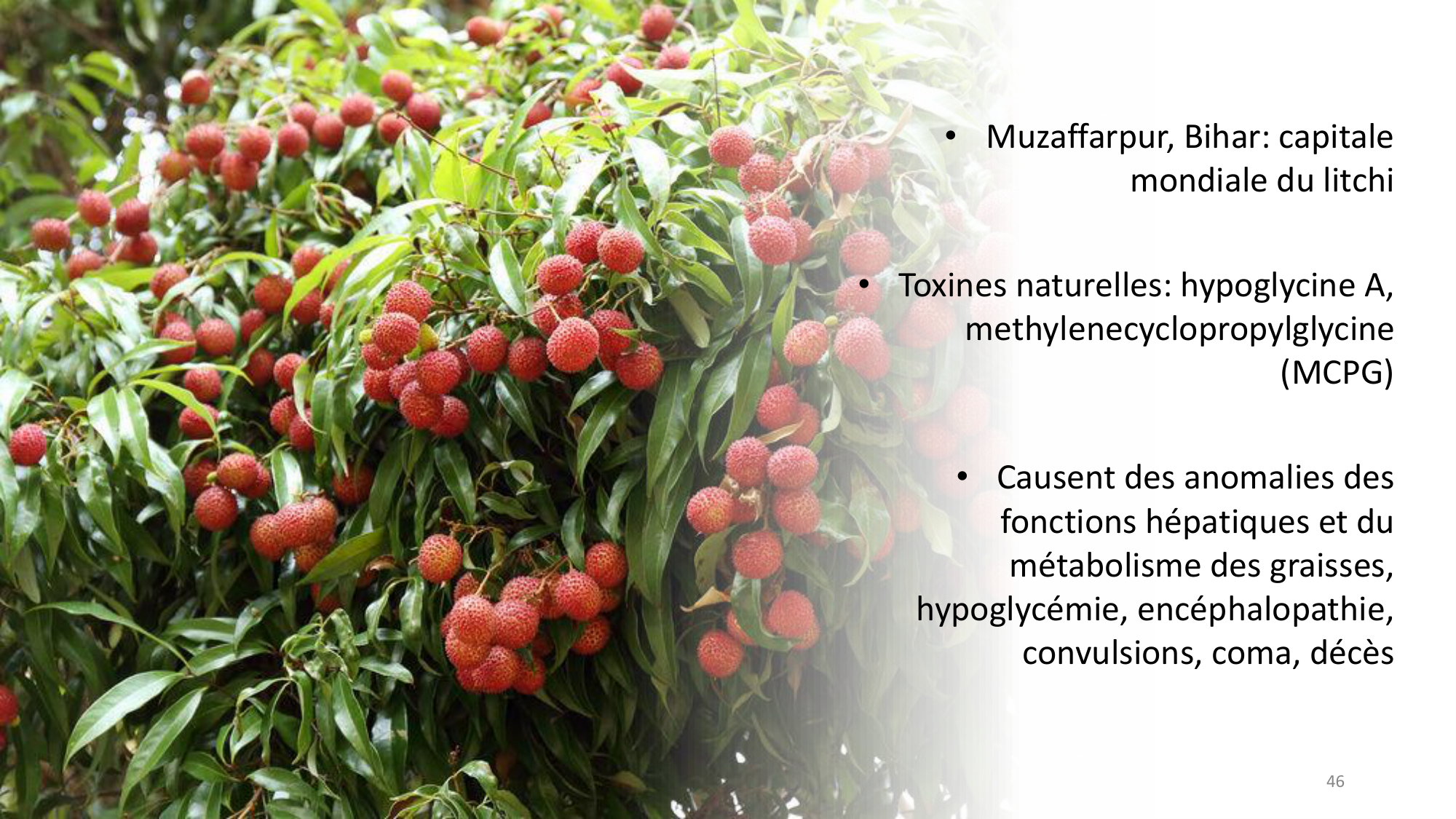 Statistiques pour médecins 12 cas témoins page 46