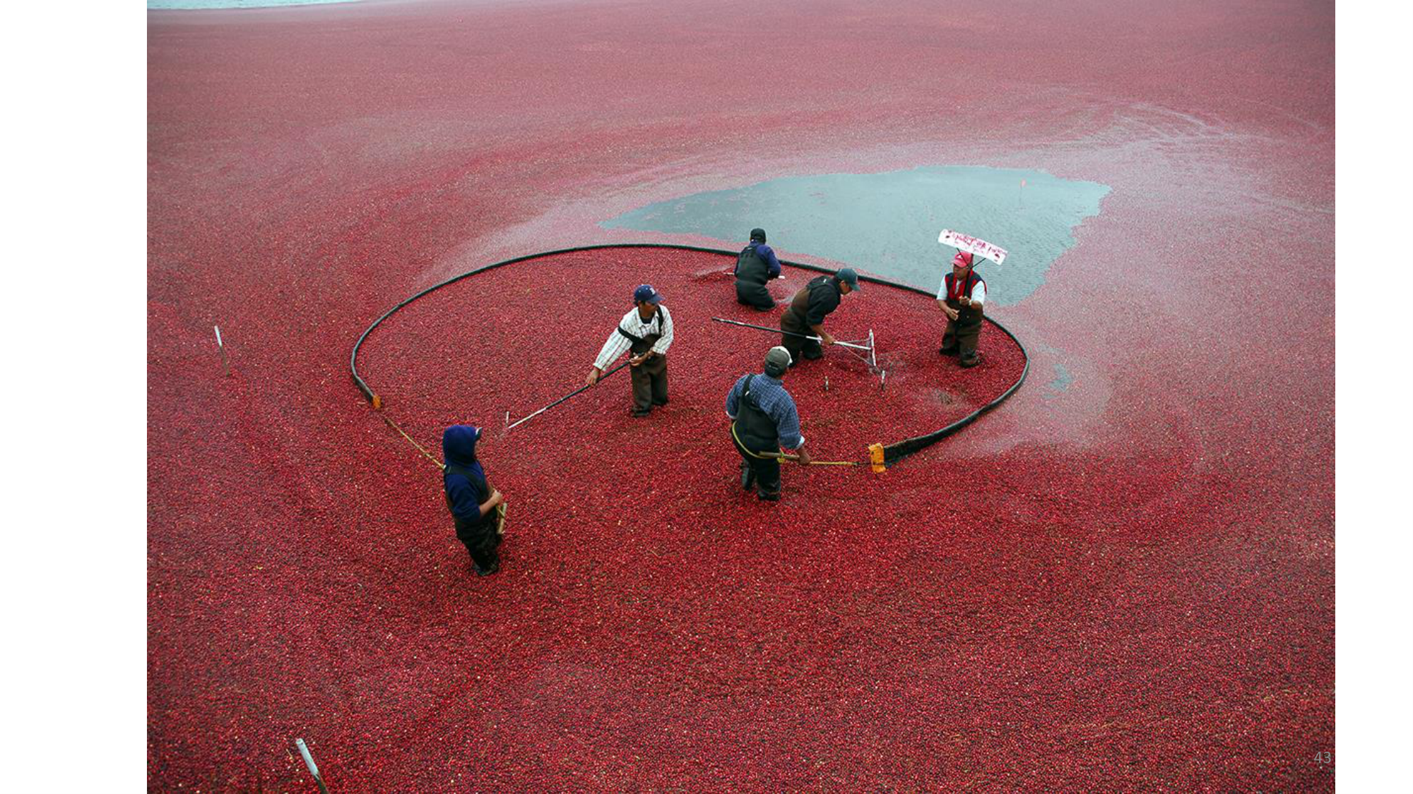 Statistiques pour médecins 1 intro page 43