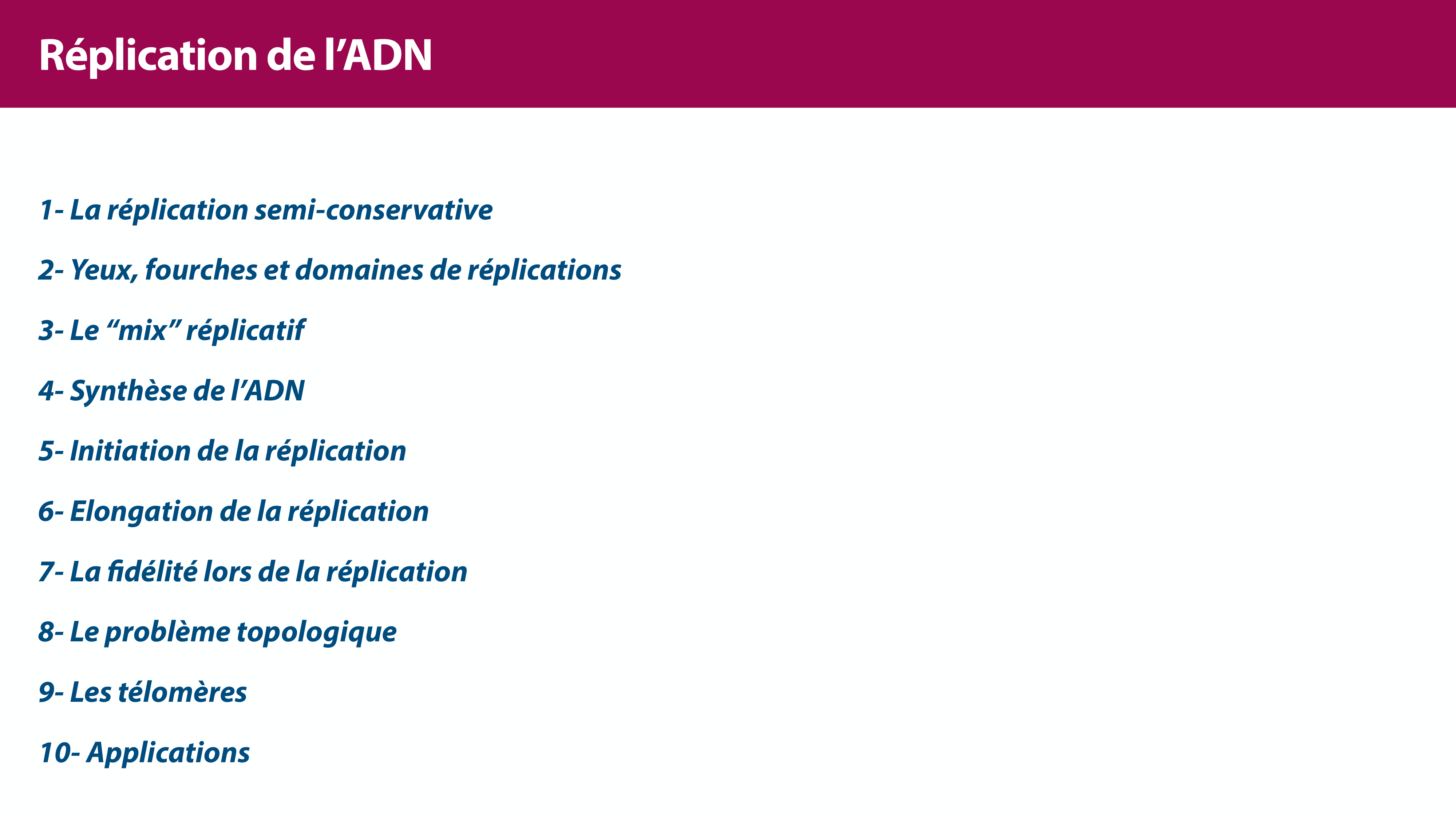 Réplication de l'ADN page 3