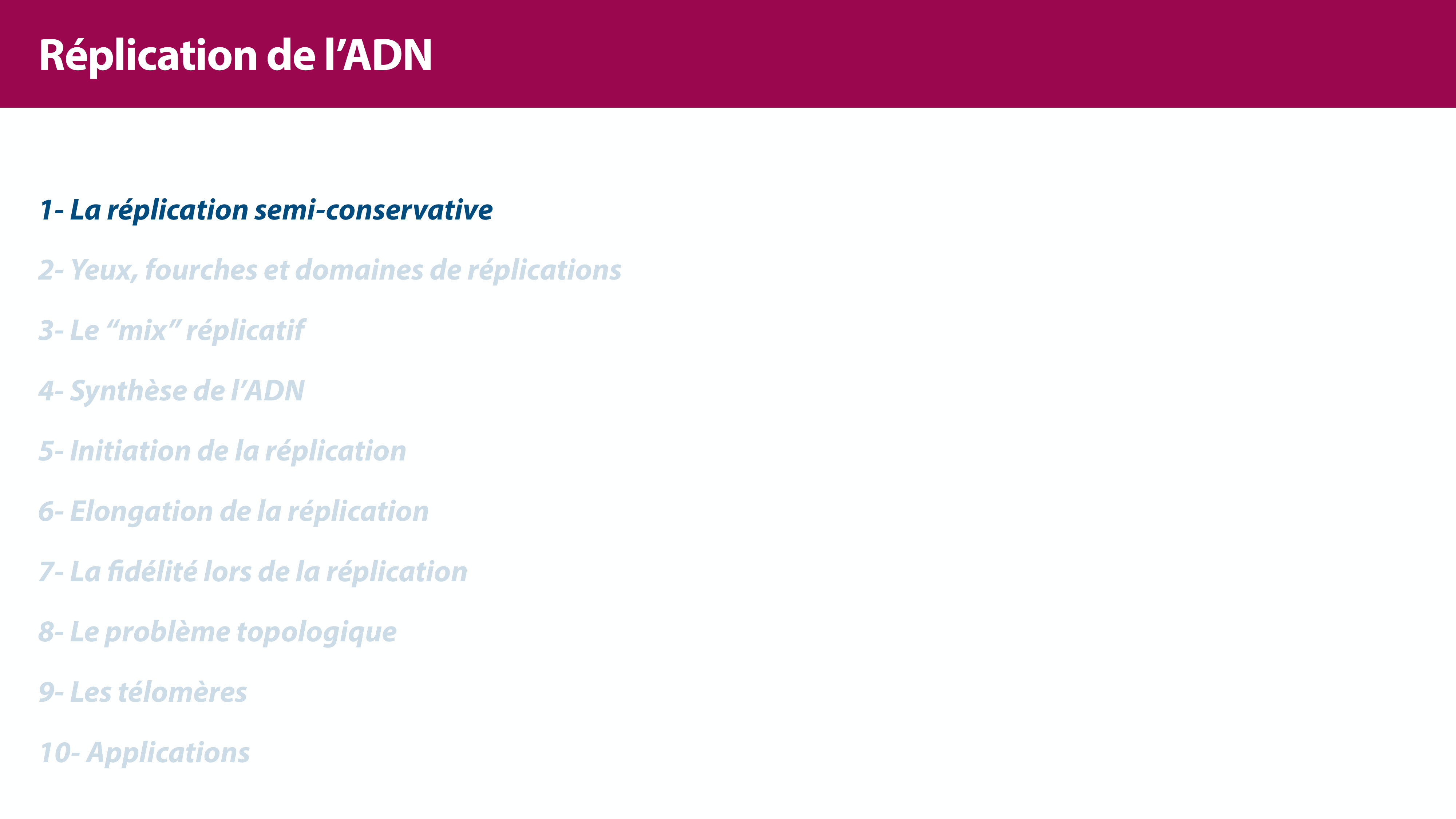 Réplication de l'ADN page 4