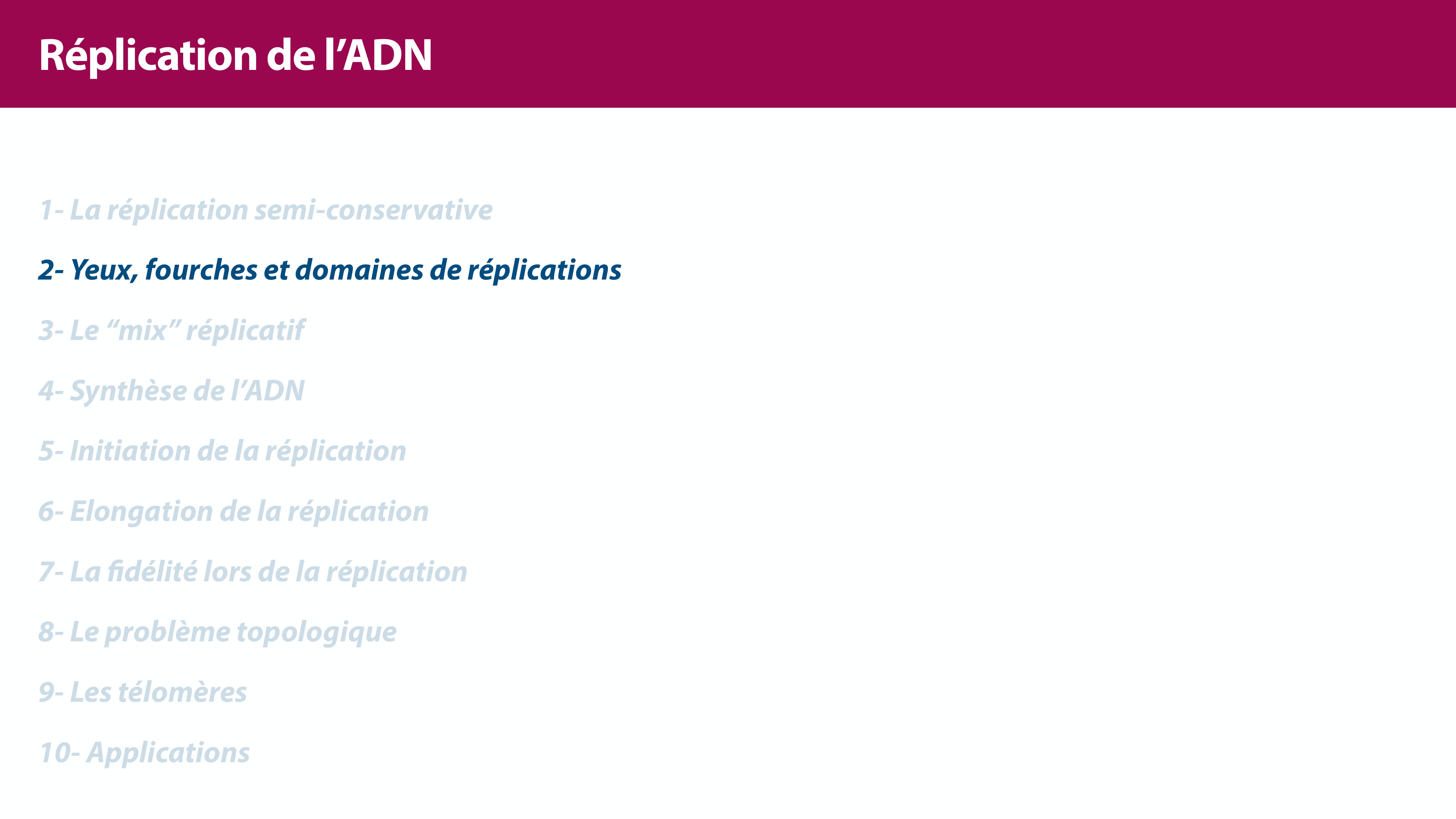 Réplication de l'ADN page 10