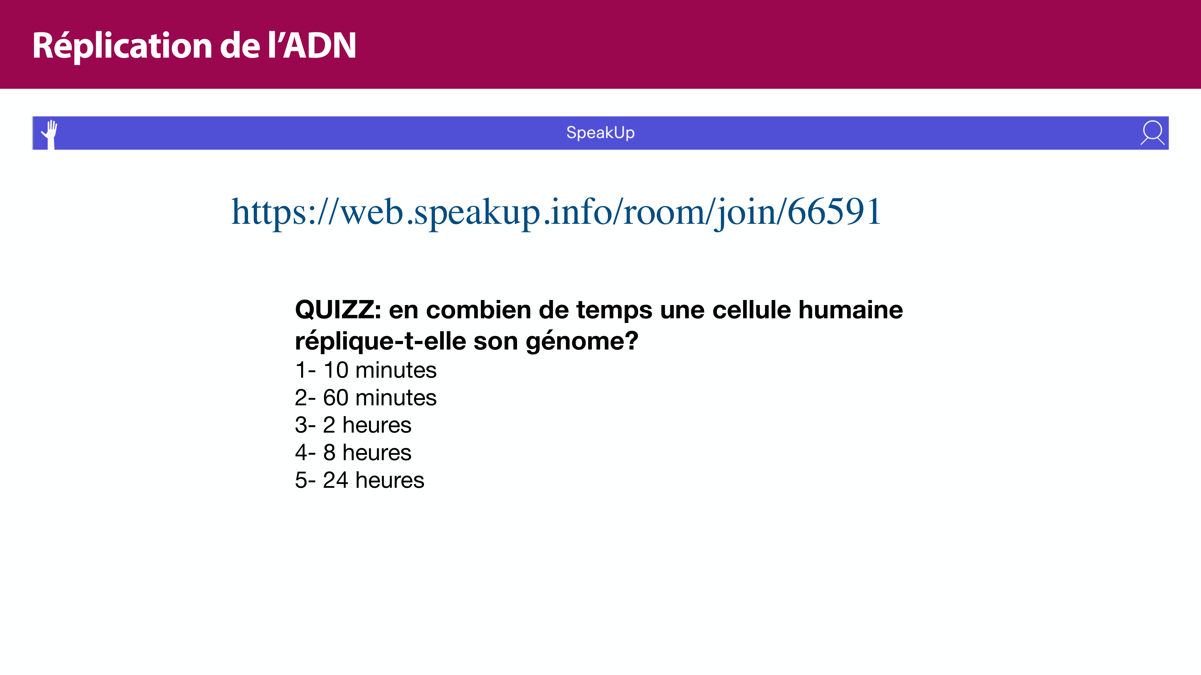 Réplication de l'ADN page 13