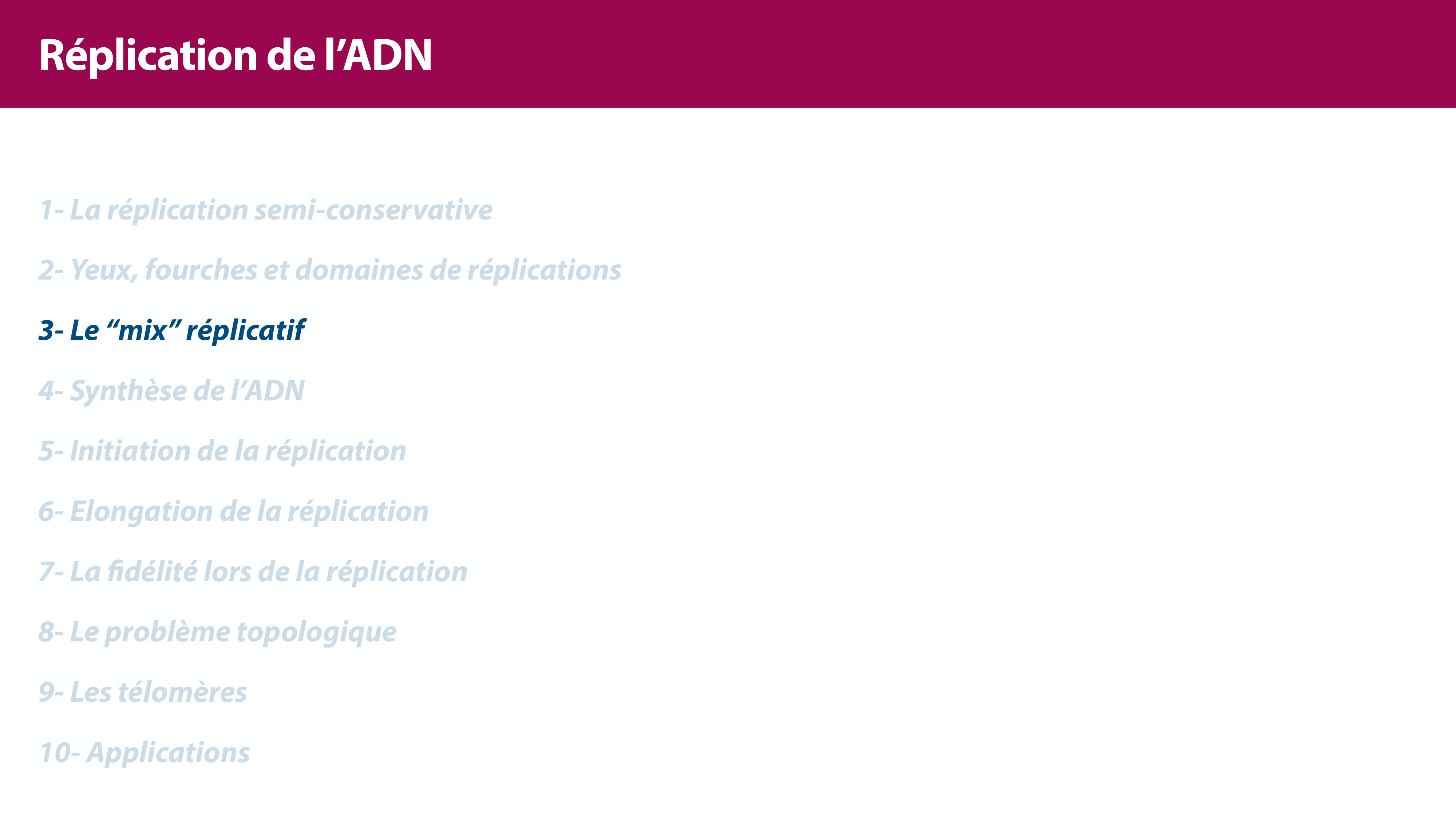 Réplication de l'ADN page 14