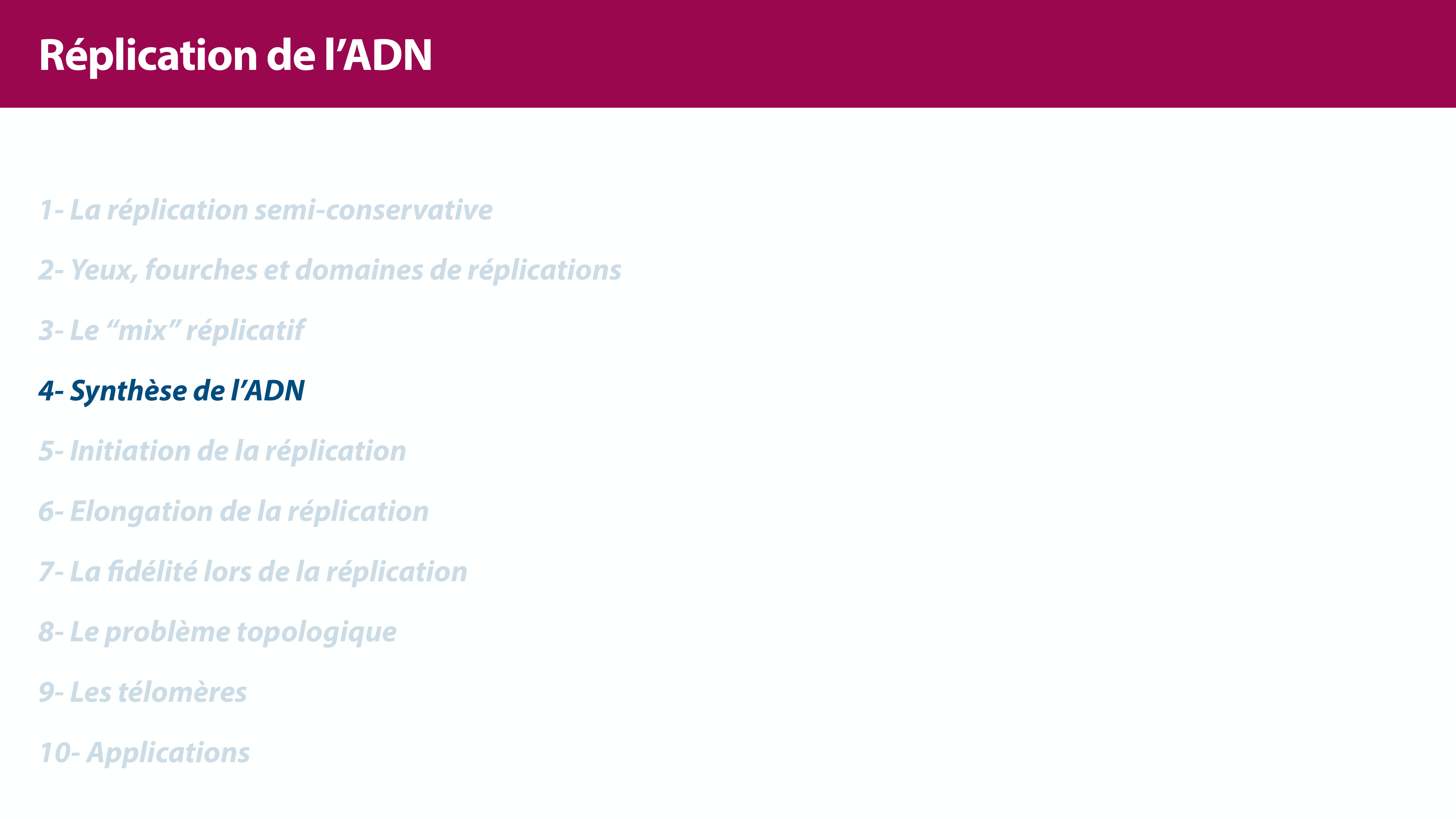 Réplication de l'ADN page 16