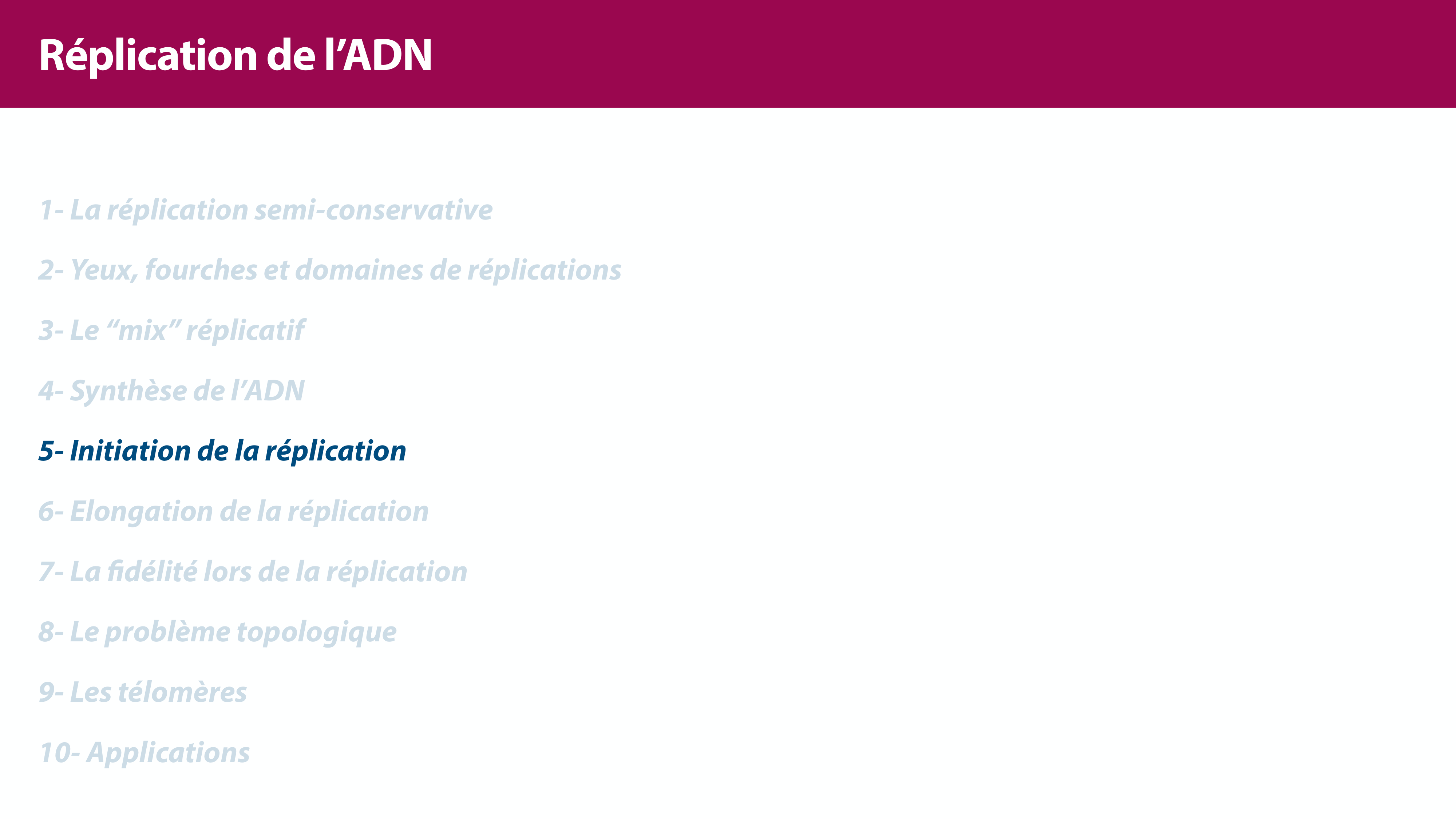 Réplication de l'ADN page 23