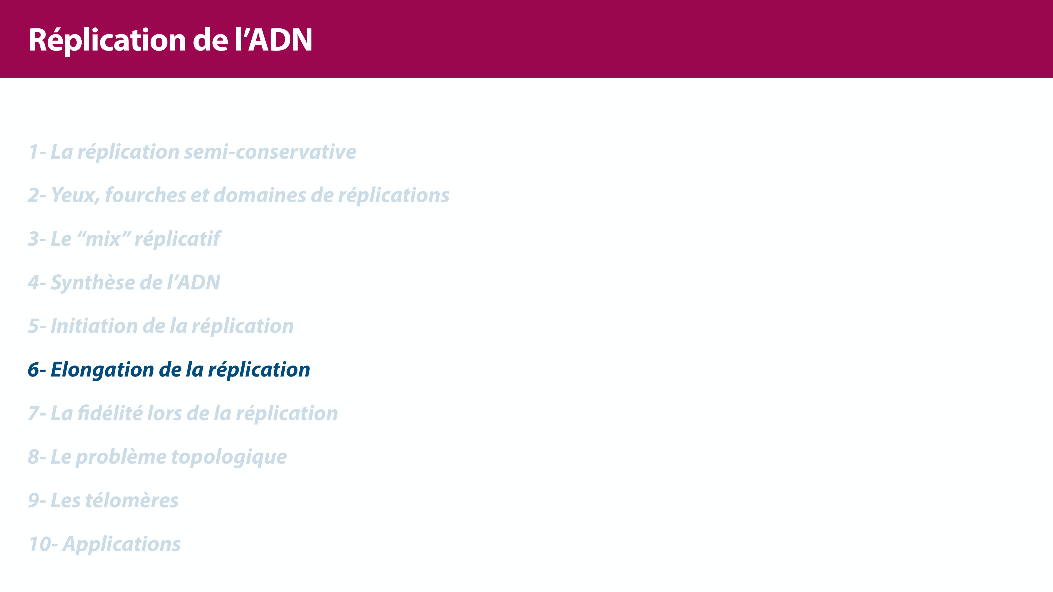 Réplication de l'ADN page 27
