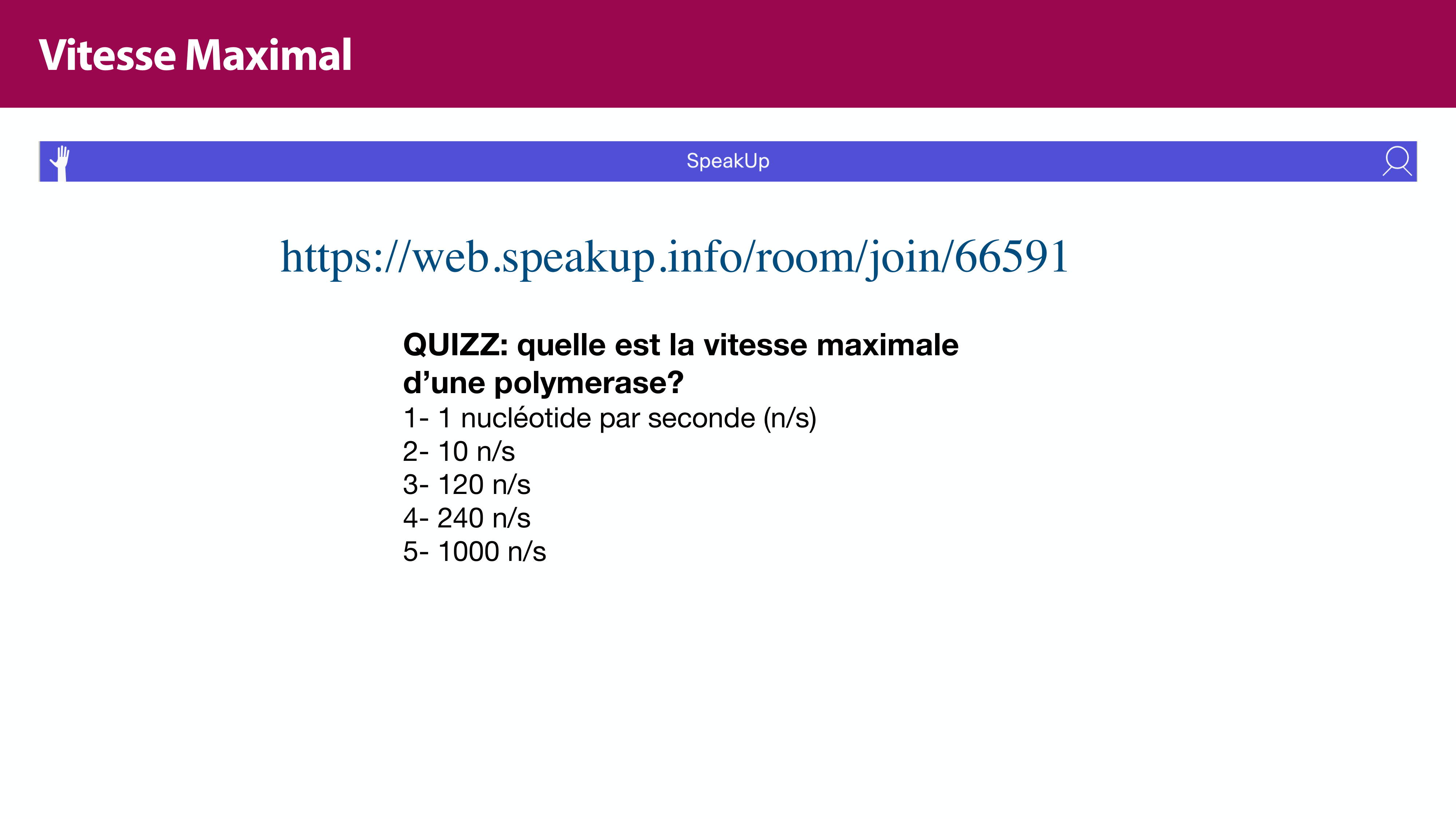 Réplication de l'ADN page 28