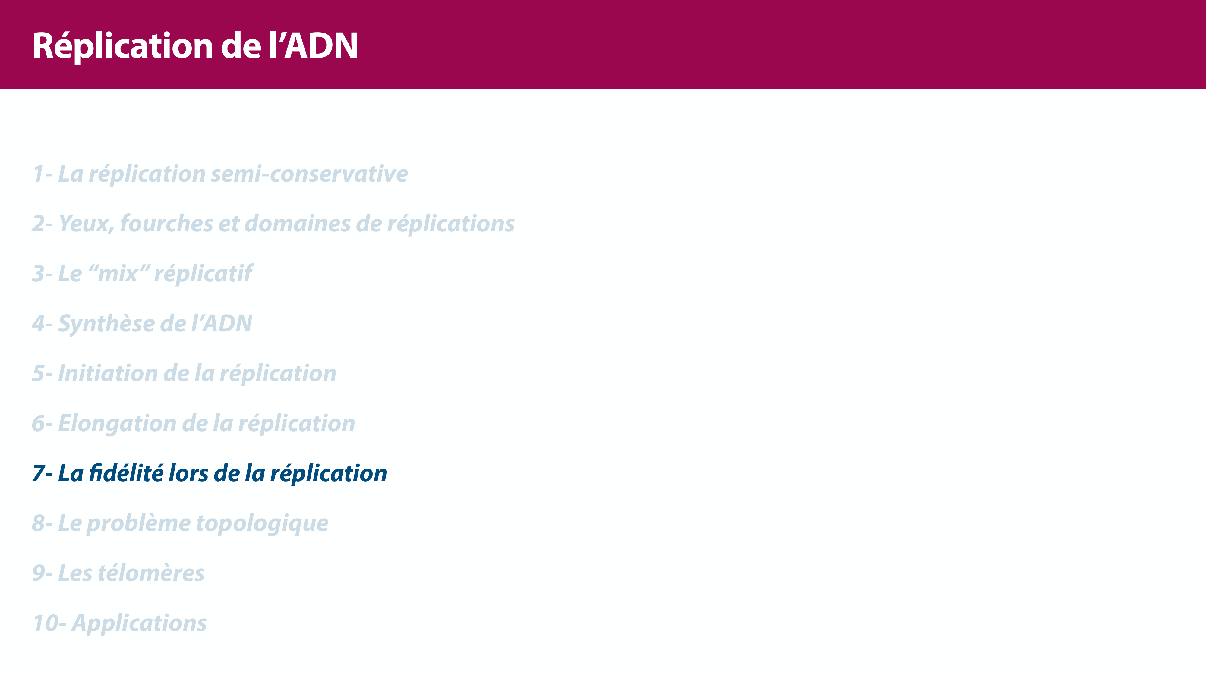 Réplication de l'ADN page 33