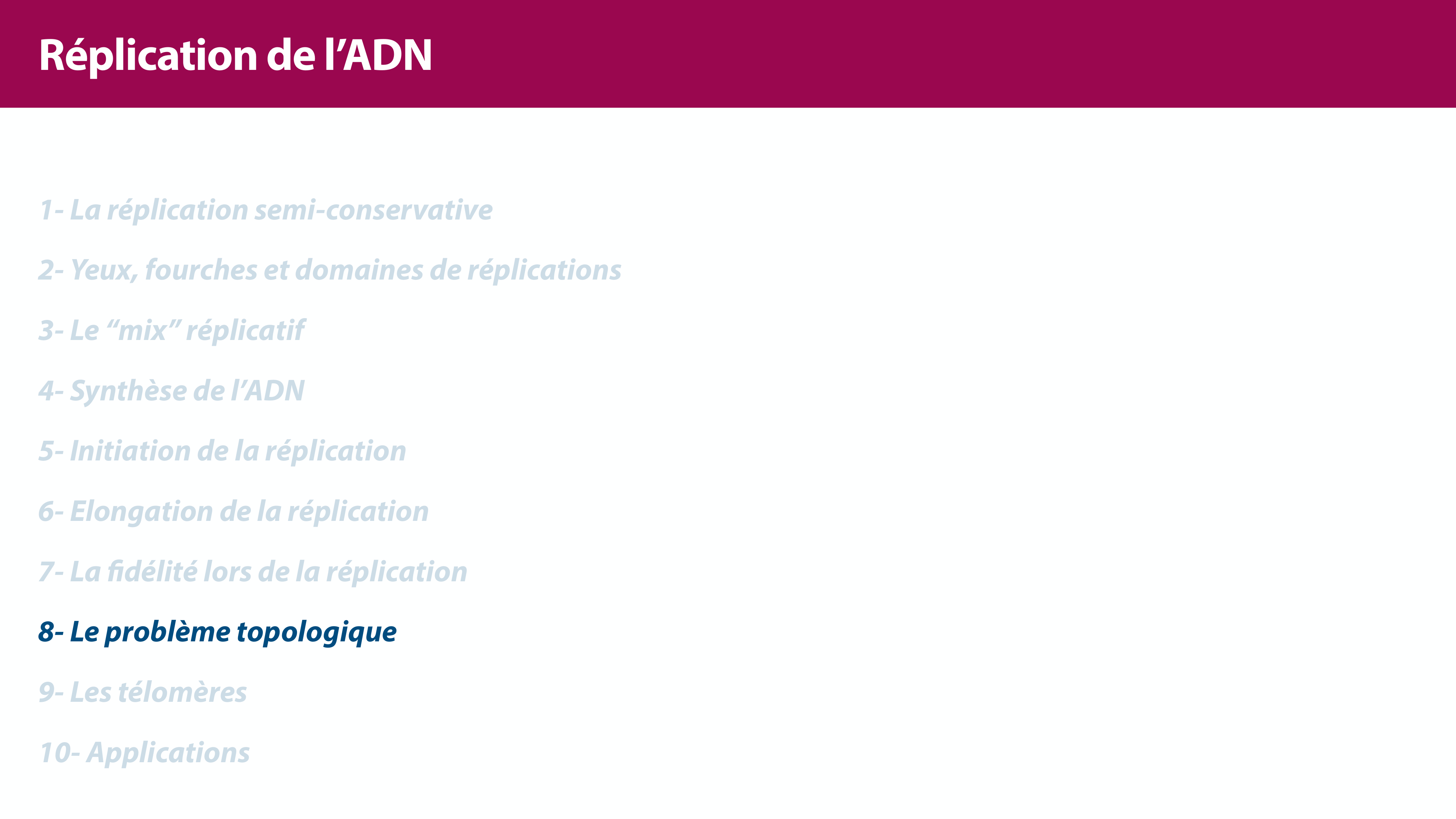 Réplication de l'ADN page 36