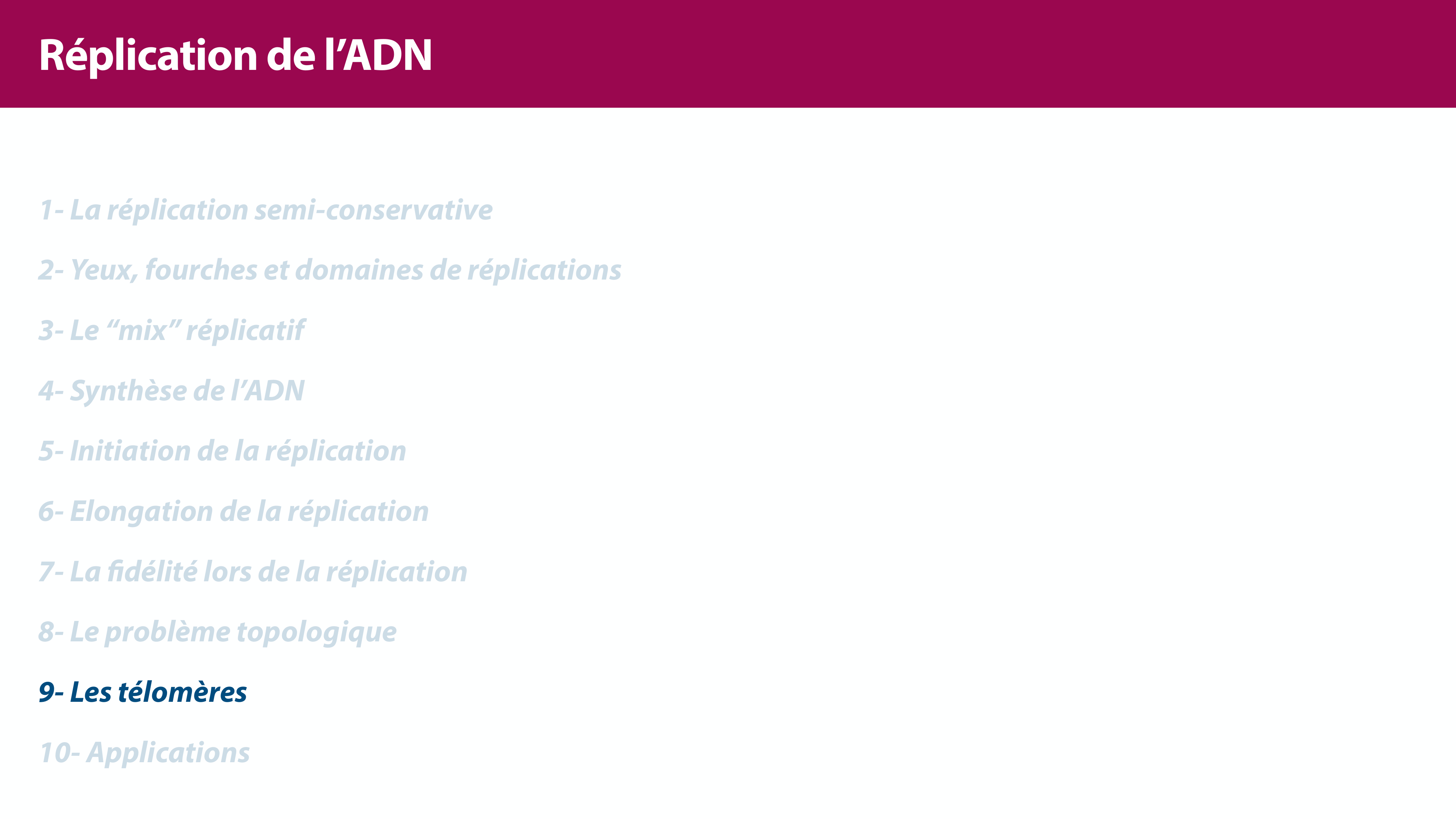Réplication de l'ADN page 40