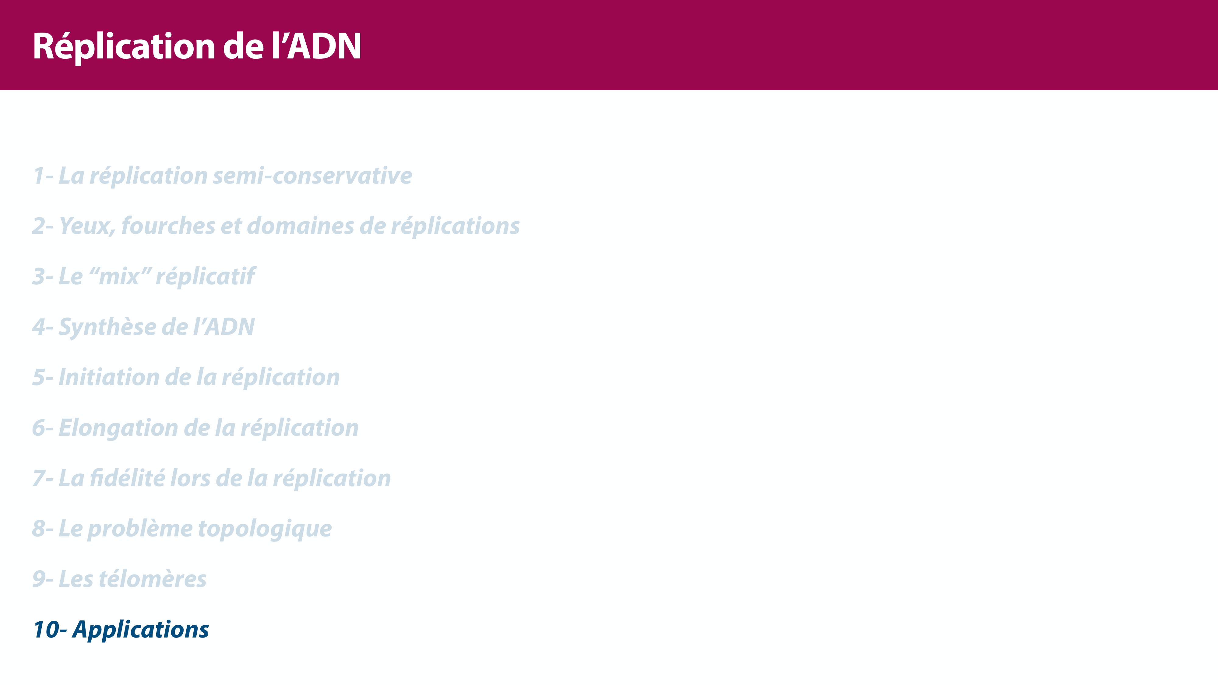 Réplication de l'ADN page 44
