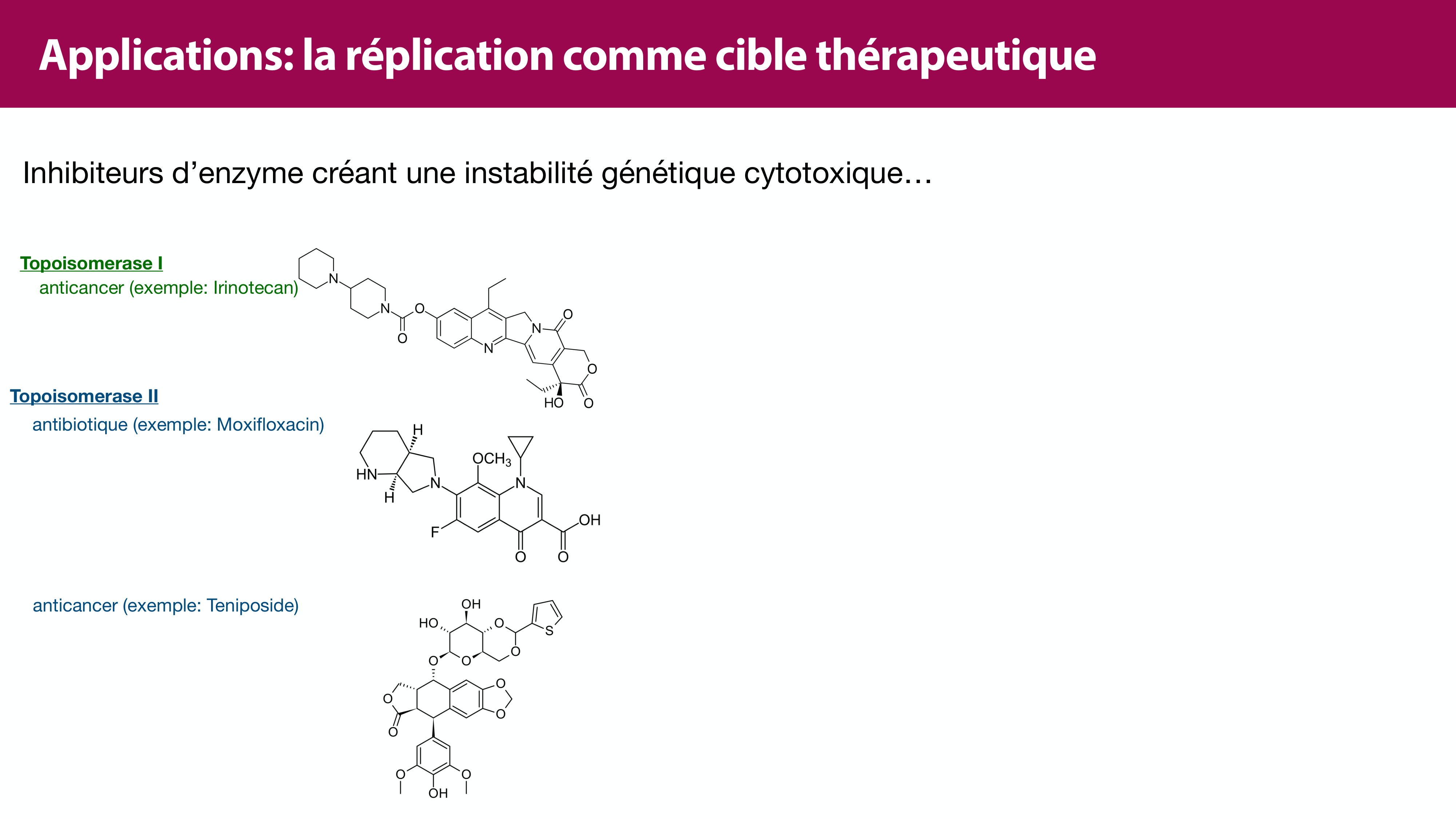 Réplication de l'ADN page 46