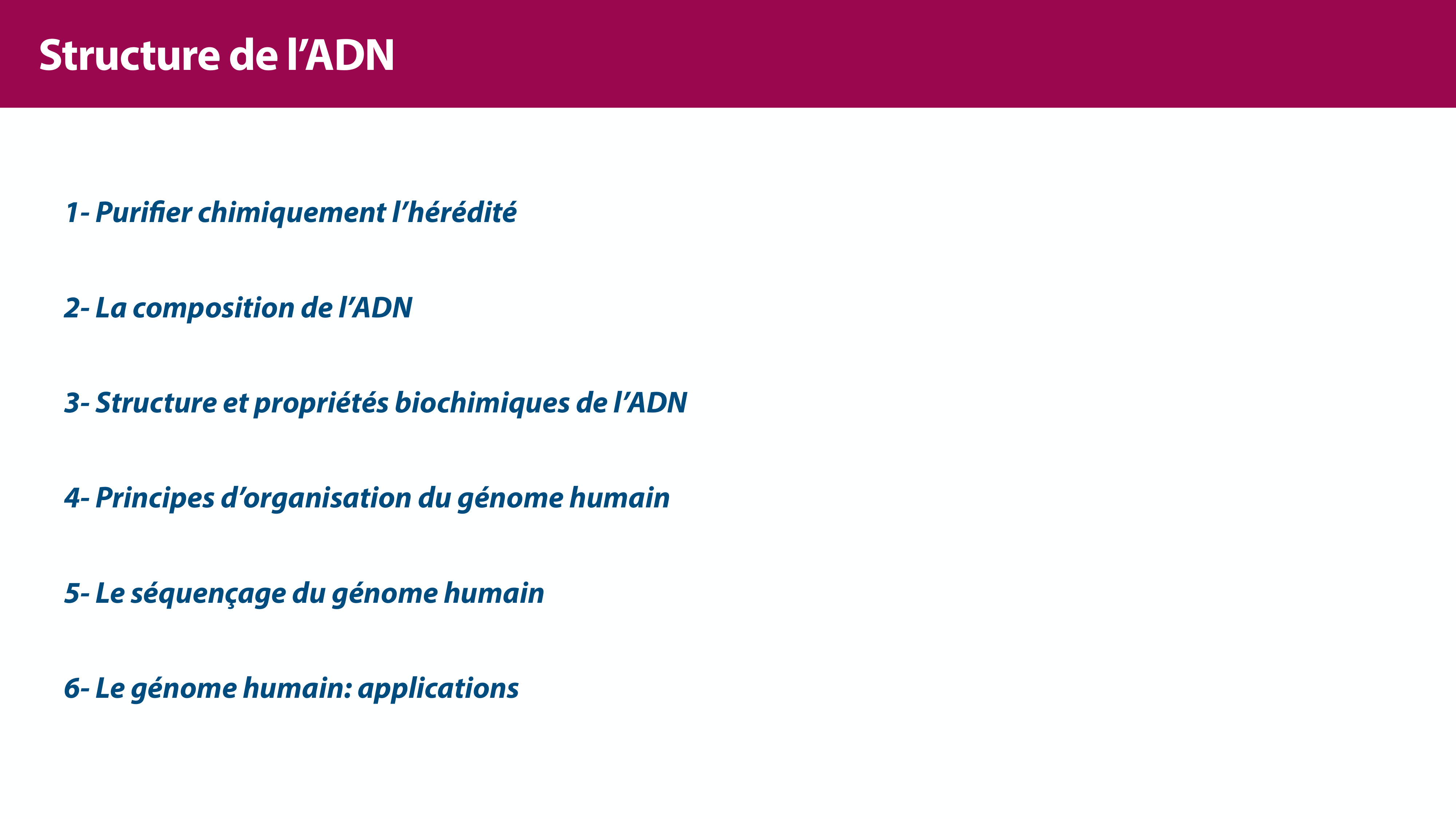 Structure de l'ADN page 5