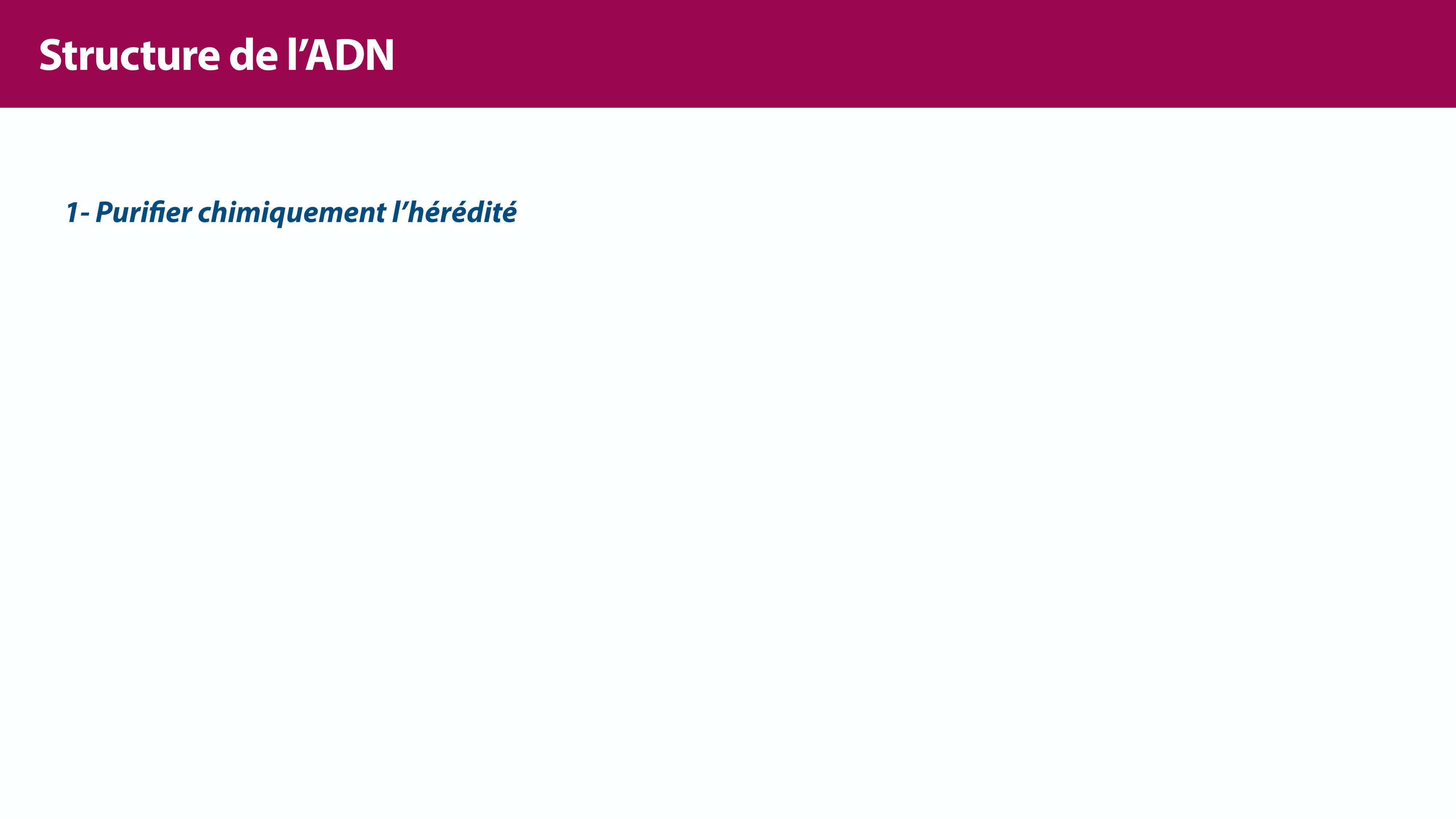 Structure de l'ADN page 6