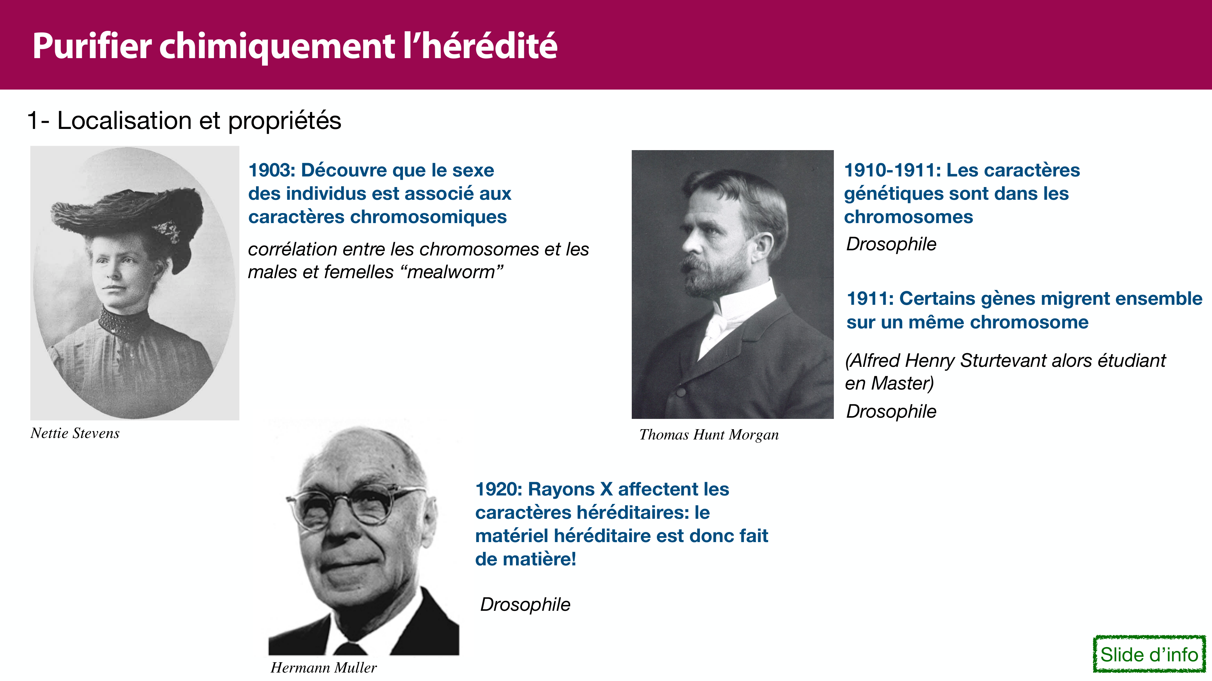 Structure de l'ADN page 8