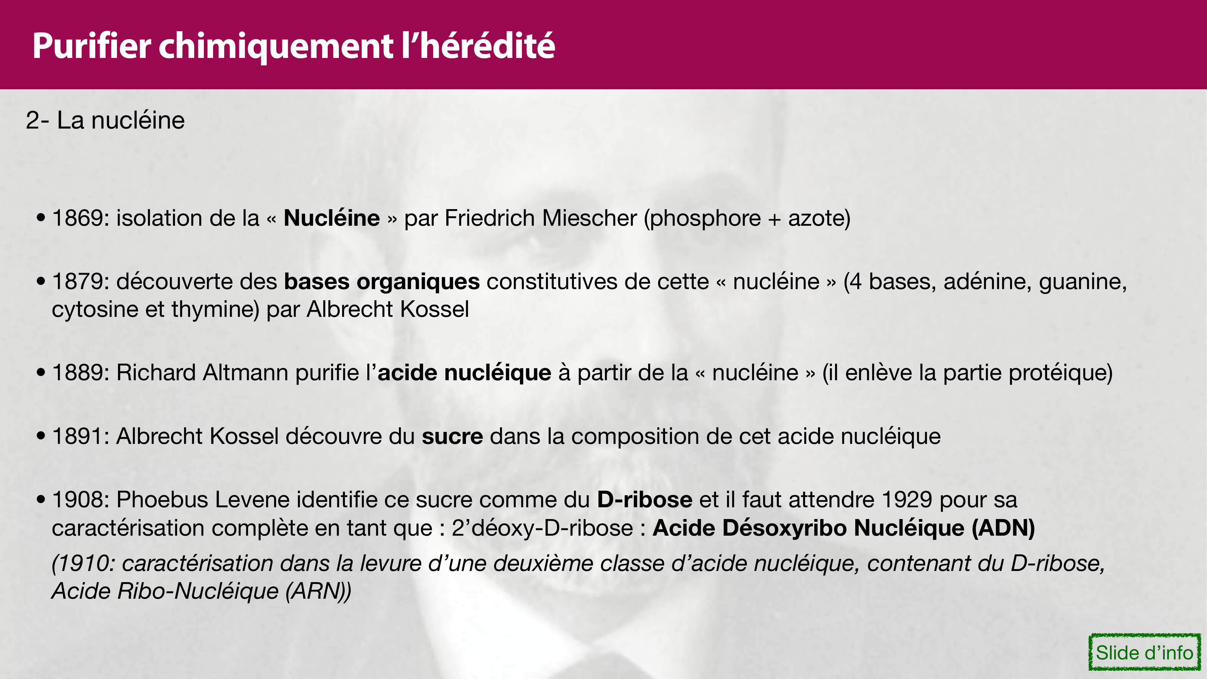 Structure de l'ADN page 11