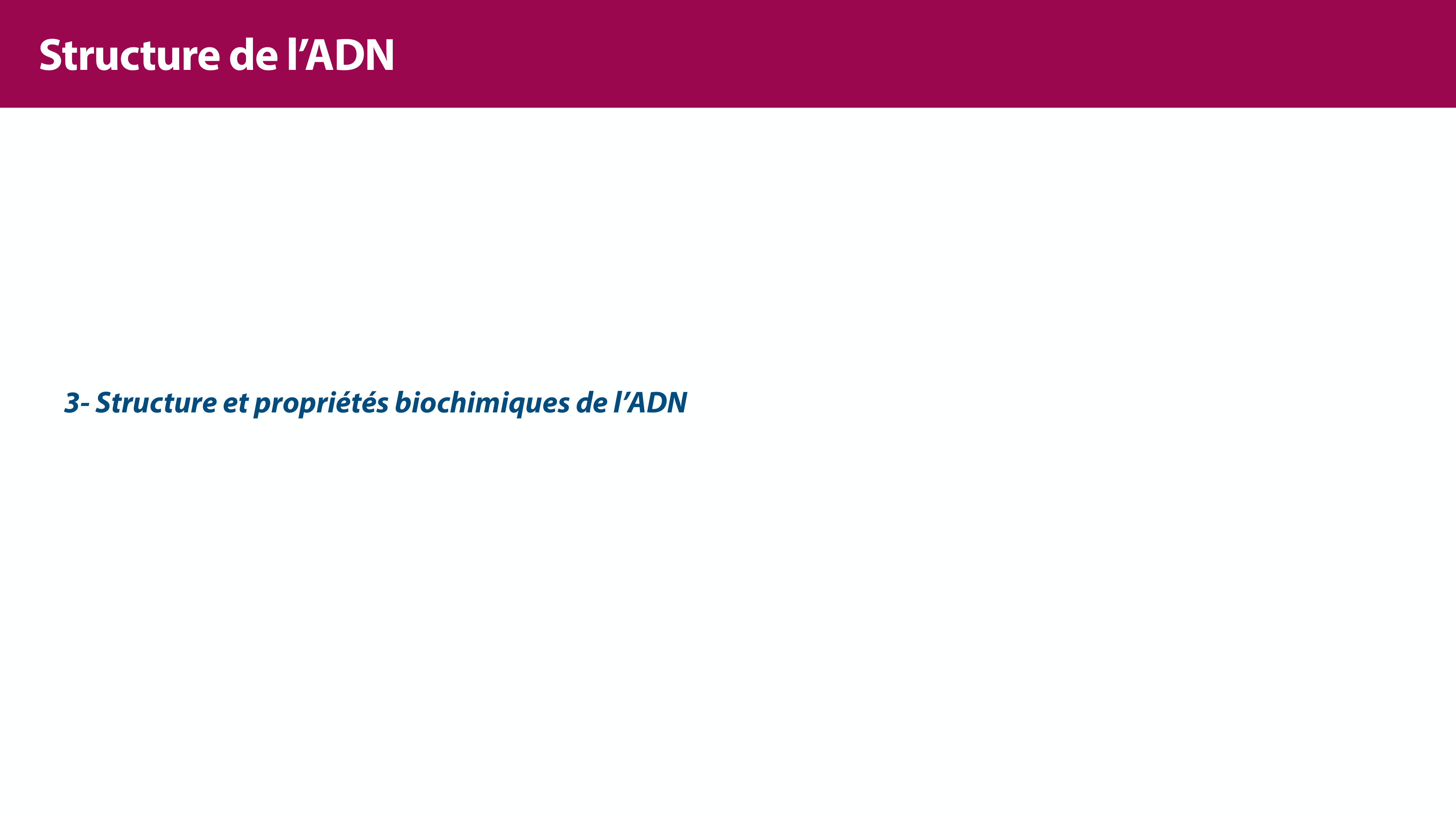 Structure de l'ADN page 20