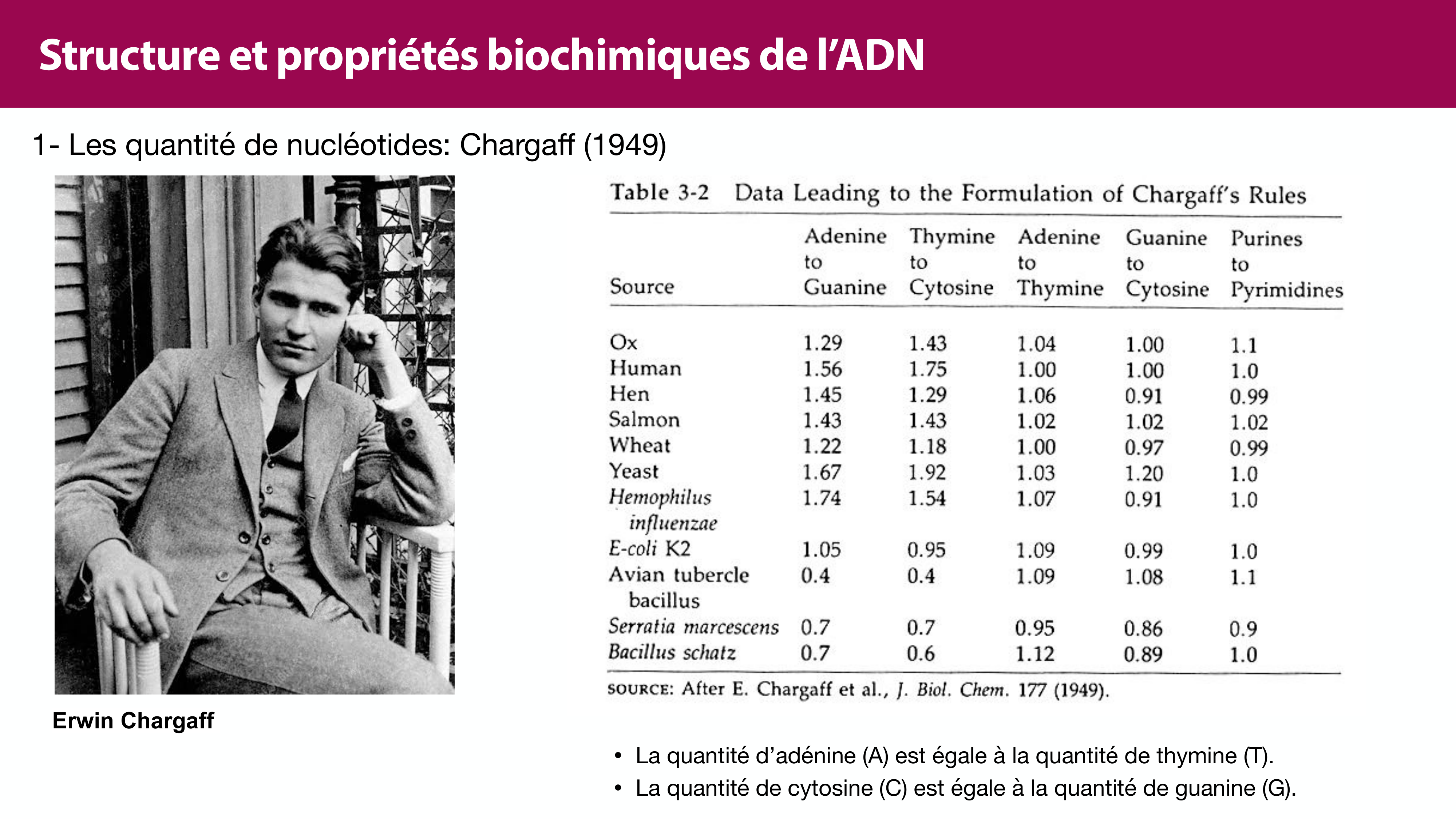 Structure de l'ADN page 21