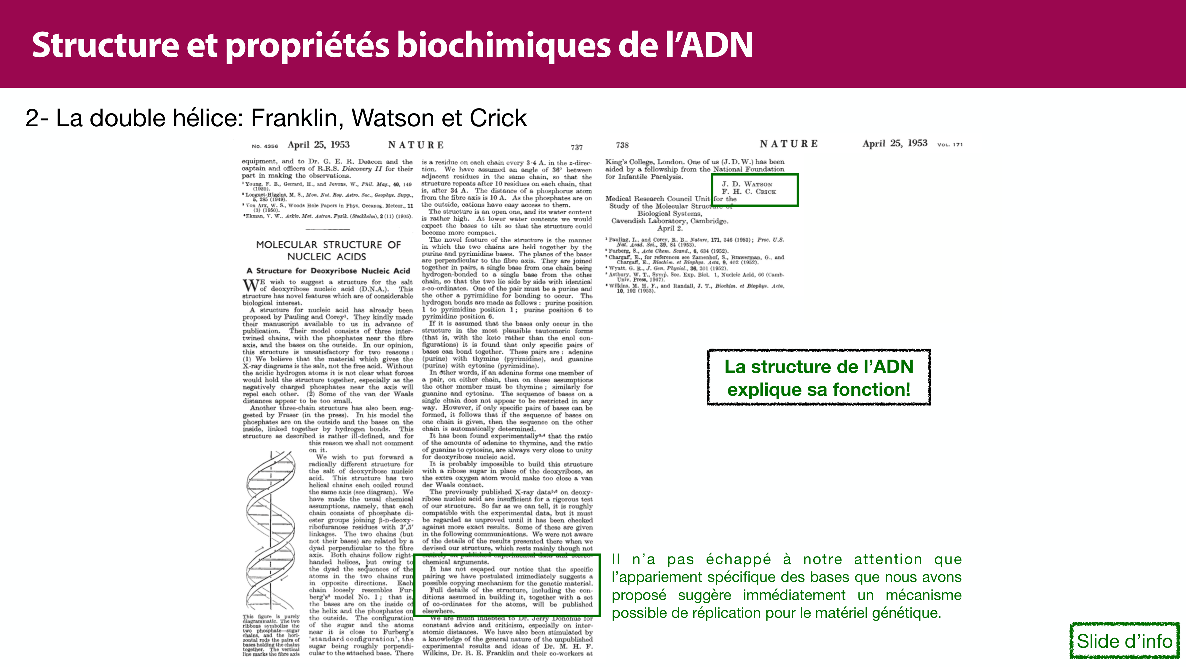 Structure de l'ADN page 23